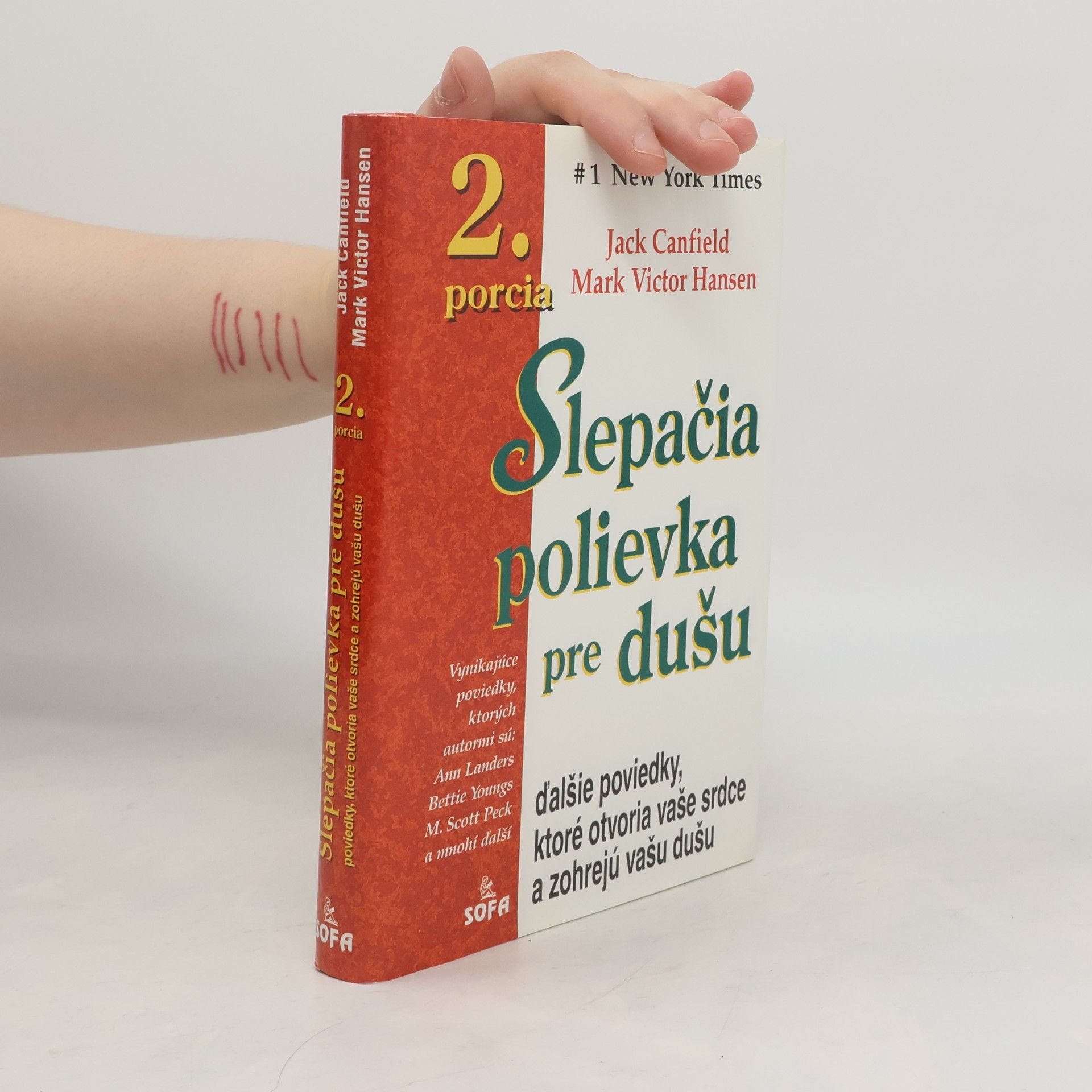 Jack Canfield Slepačia polievka pre dušu - 2. porcia