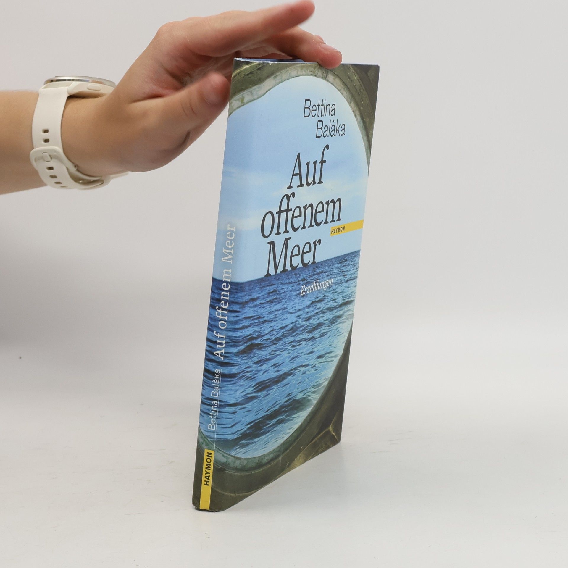 Bettina Balàka Auf offenem Meer