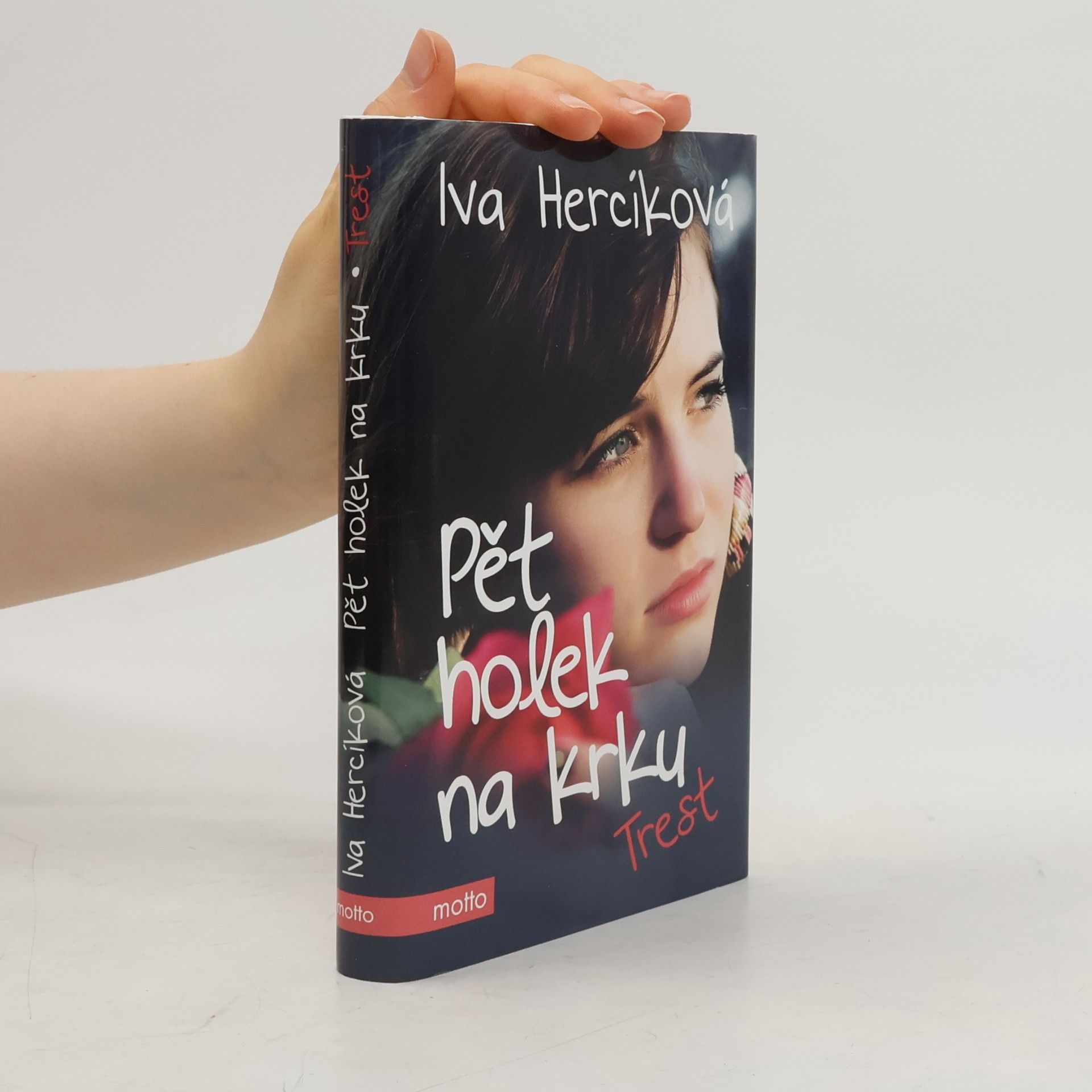 Iva Hercíková Pět holek na krku. Trest