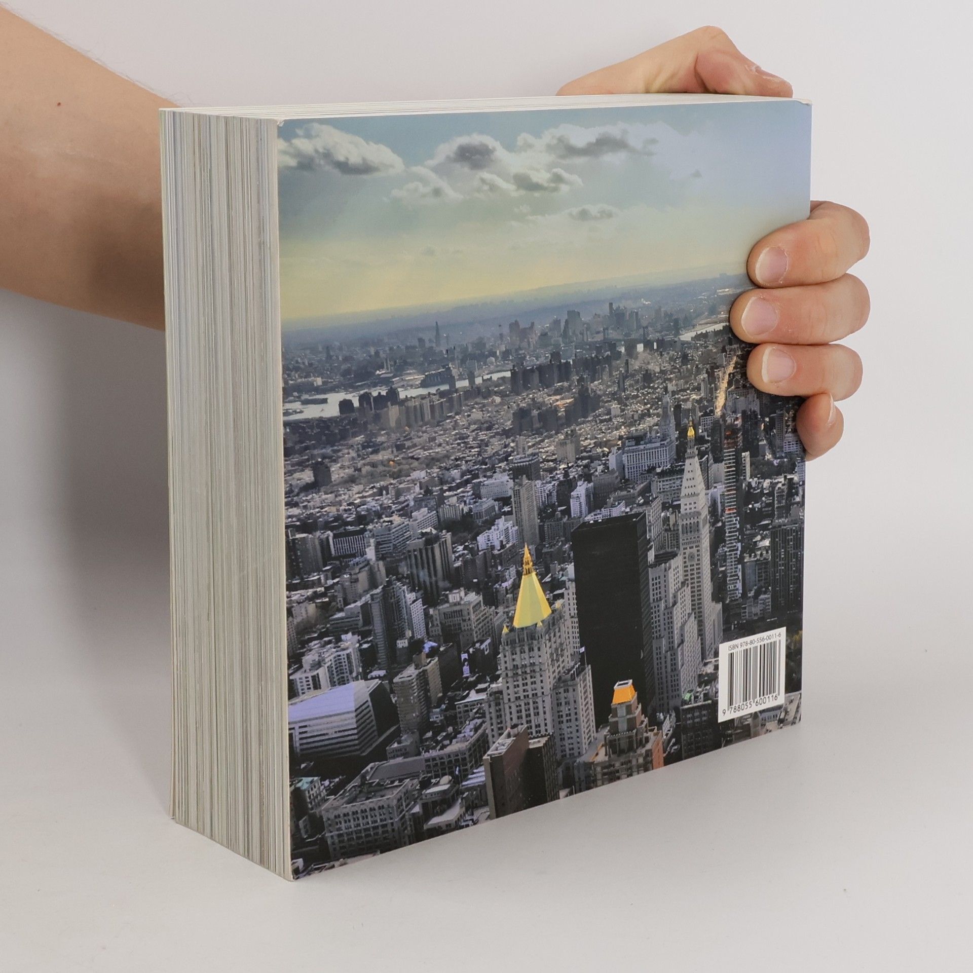 Various authors New York Architecture