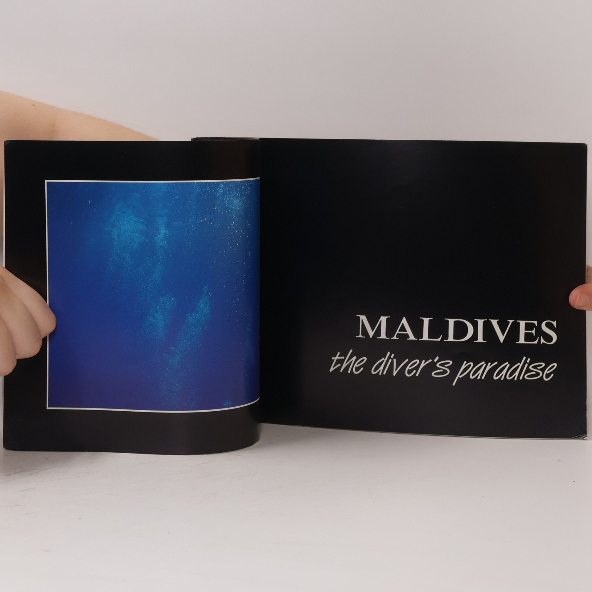 Autorenkollektiv Maldives. The Diver´s Paradise