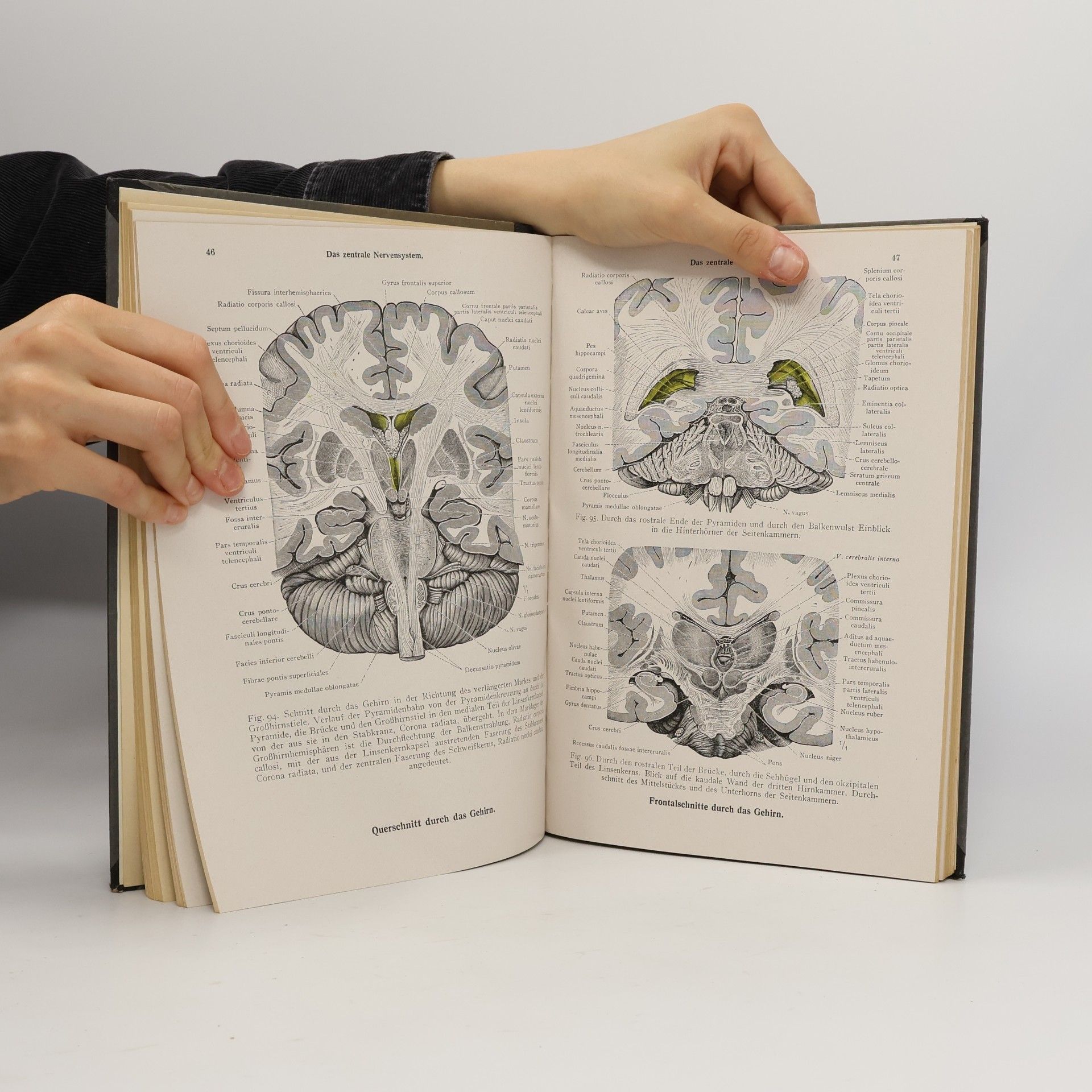AA.VV. Toldtův anatomický atlas pro studující lékaře 3. díl
