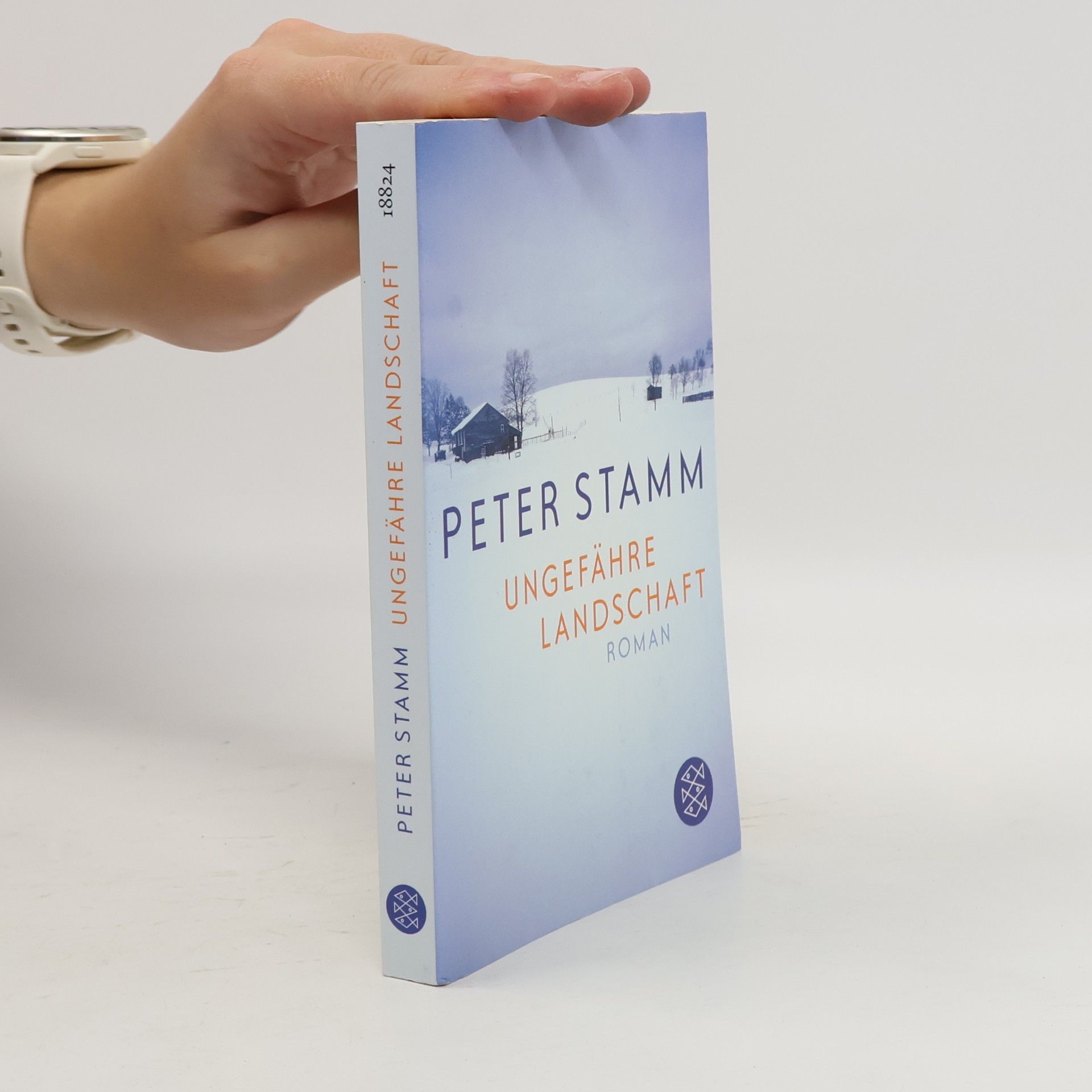 Peter Stamm Ungefähre Landschaft