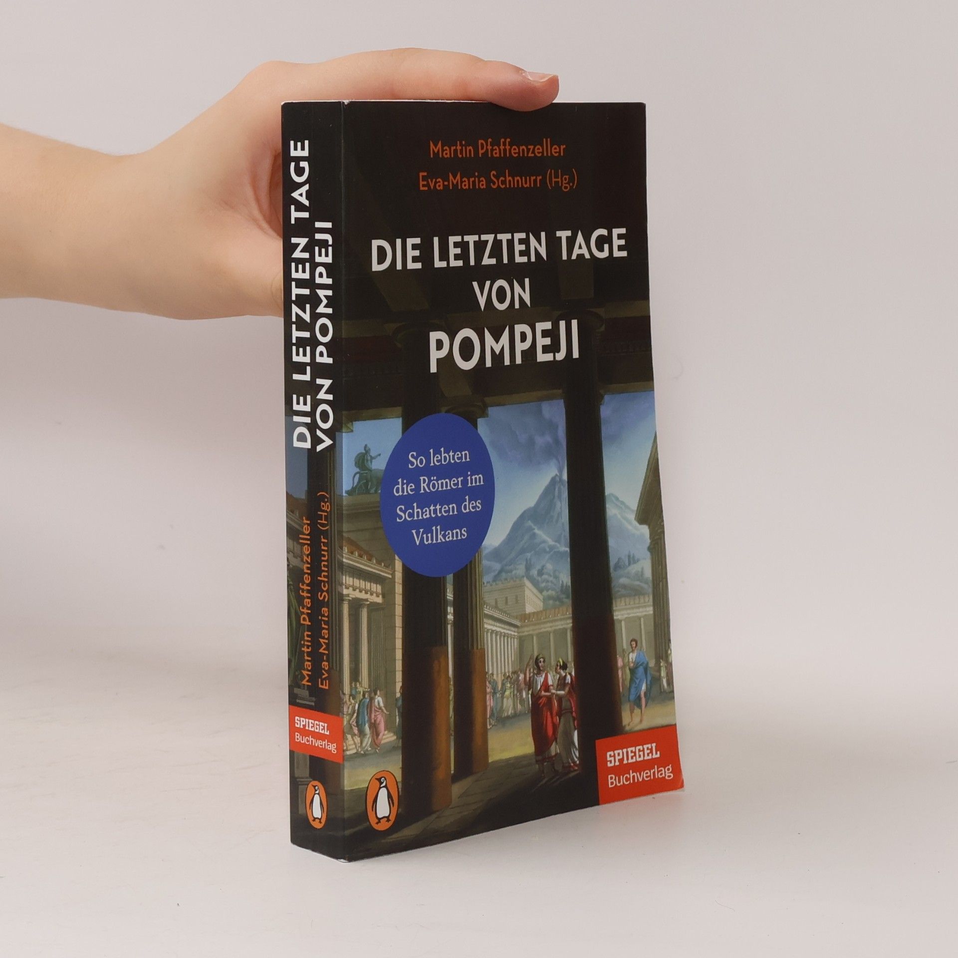 Martin Pfaffenzeller Die letzten Tage von Pompeji