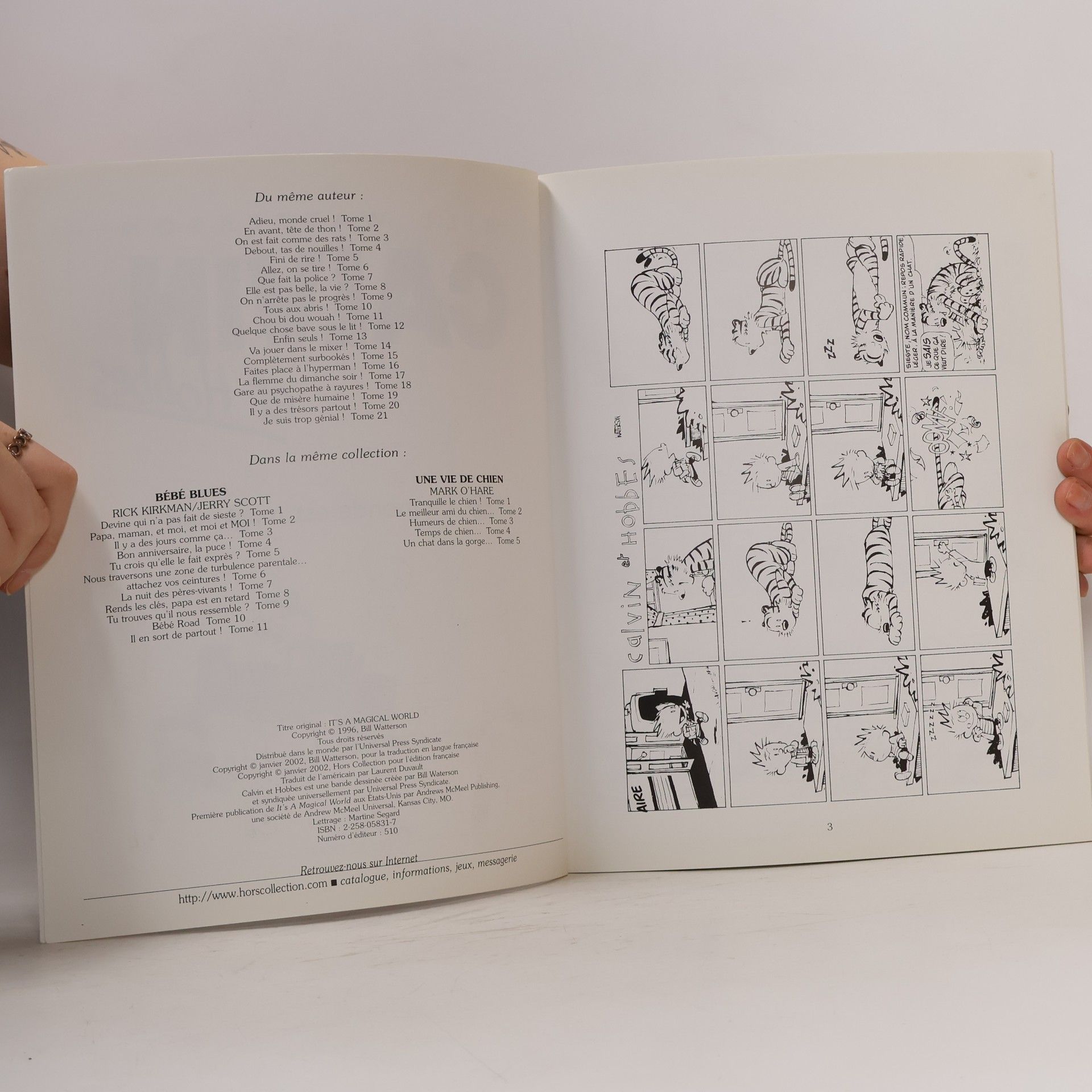 Laurent Duvault Calvin et Hobbes 22