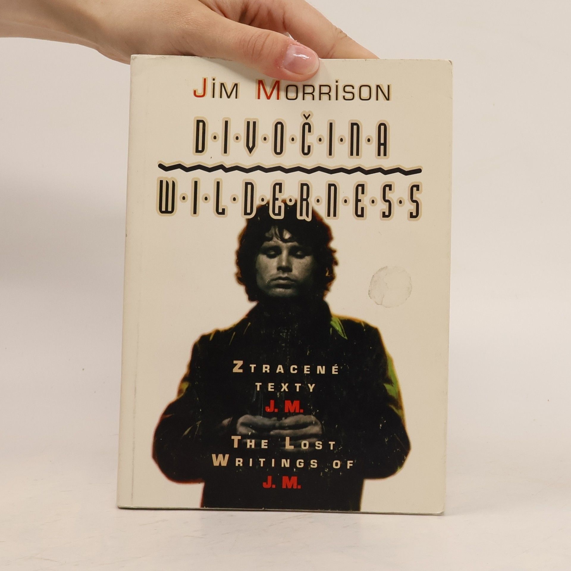 Jim Morrison Divočina. Wilderness