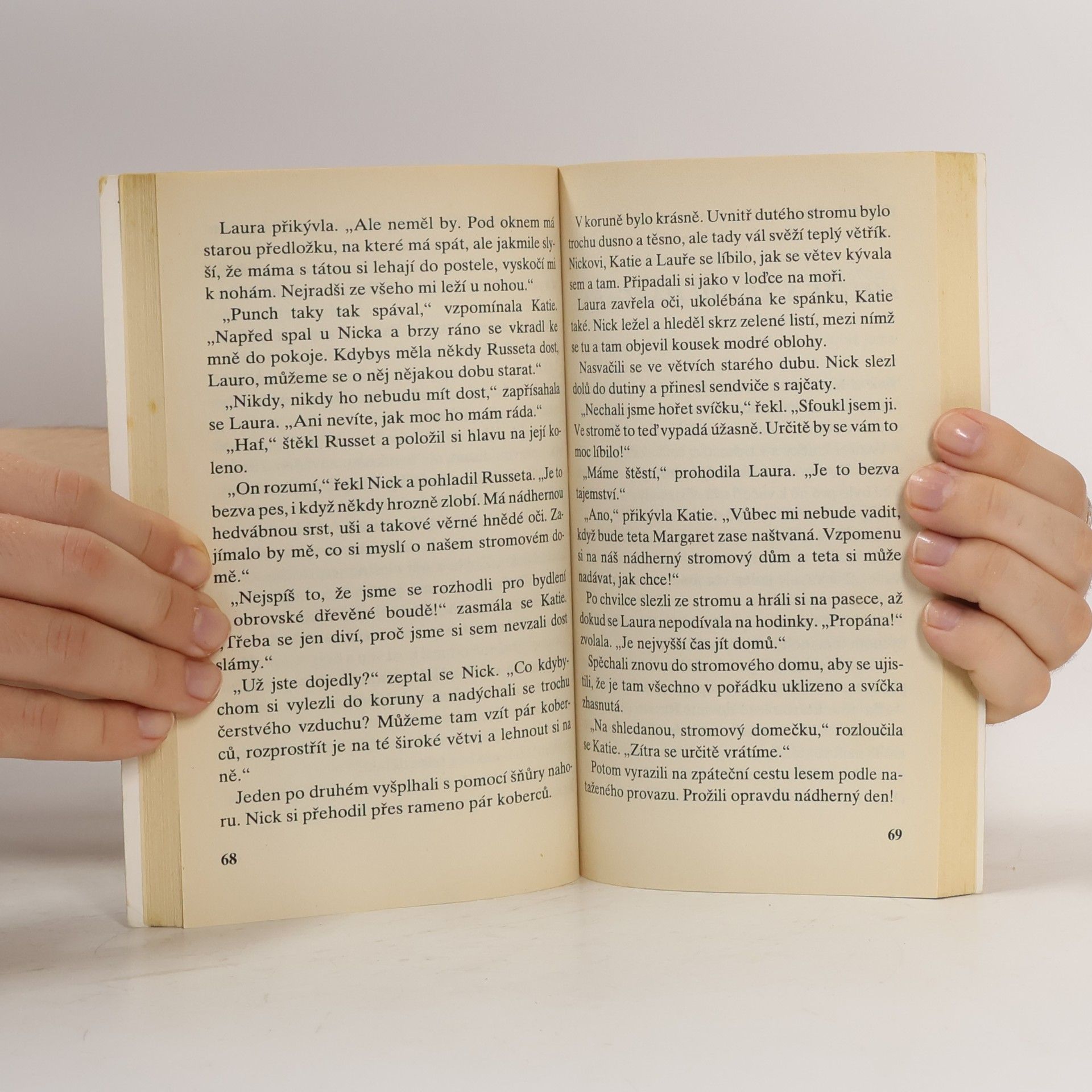 Enid Blyton Hádanka dutého stromu