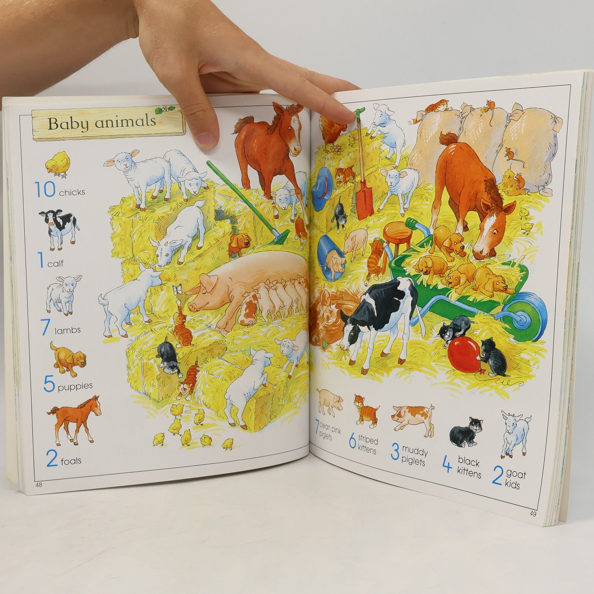 Kolektiv autorů Big Book of Things to Spot