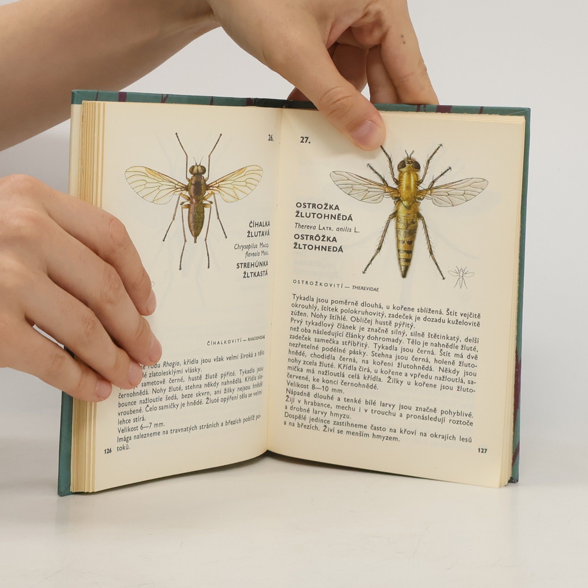 Vladimír Javorek Kapesní atlas dvoukřídlého hmyzu