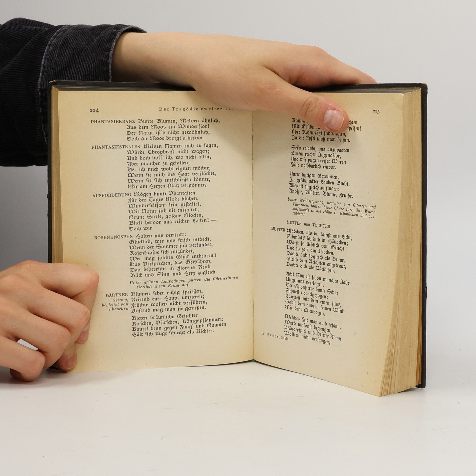 Johann Wolfgang von Goethe Faust