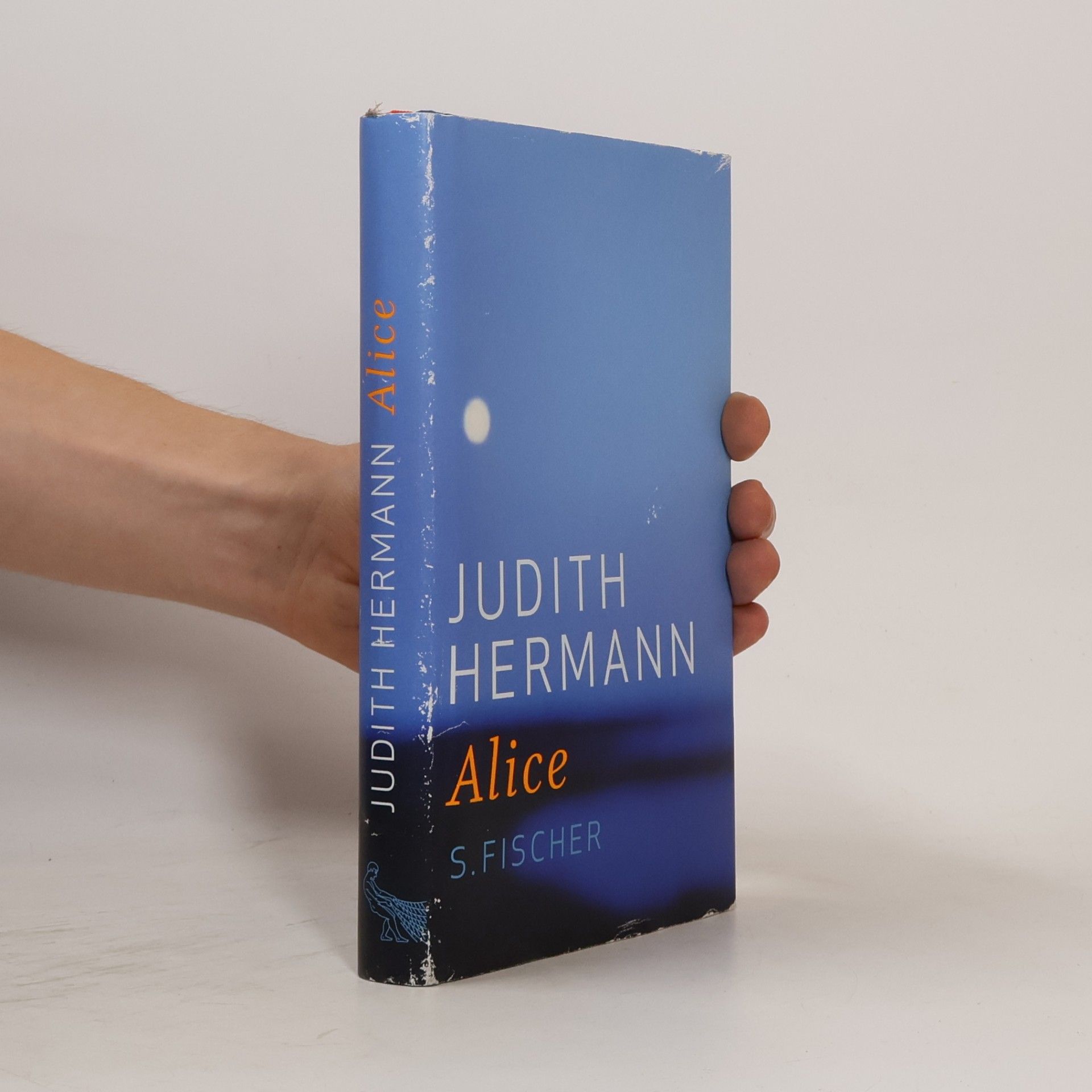 Judith Hermann Alice