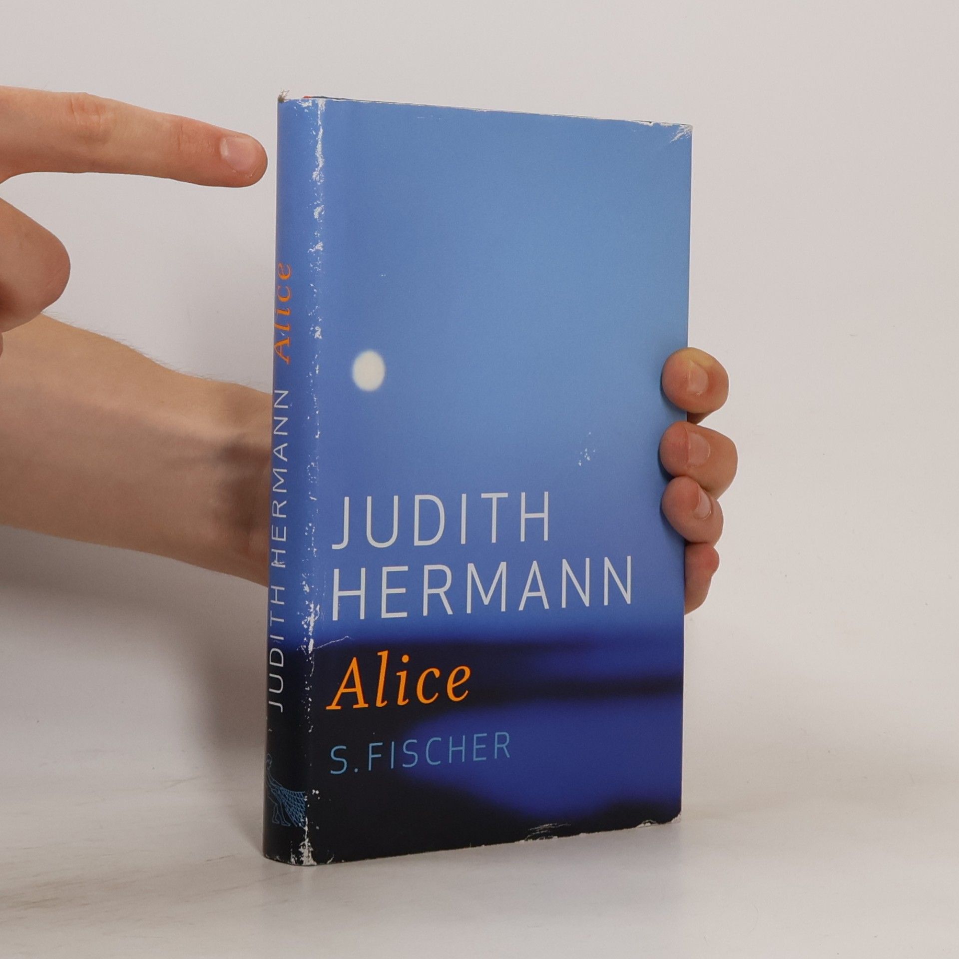 Judith Hermann Alice