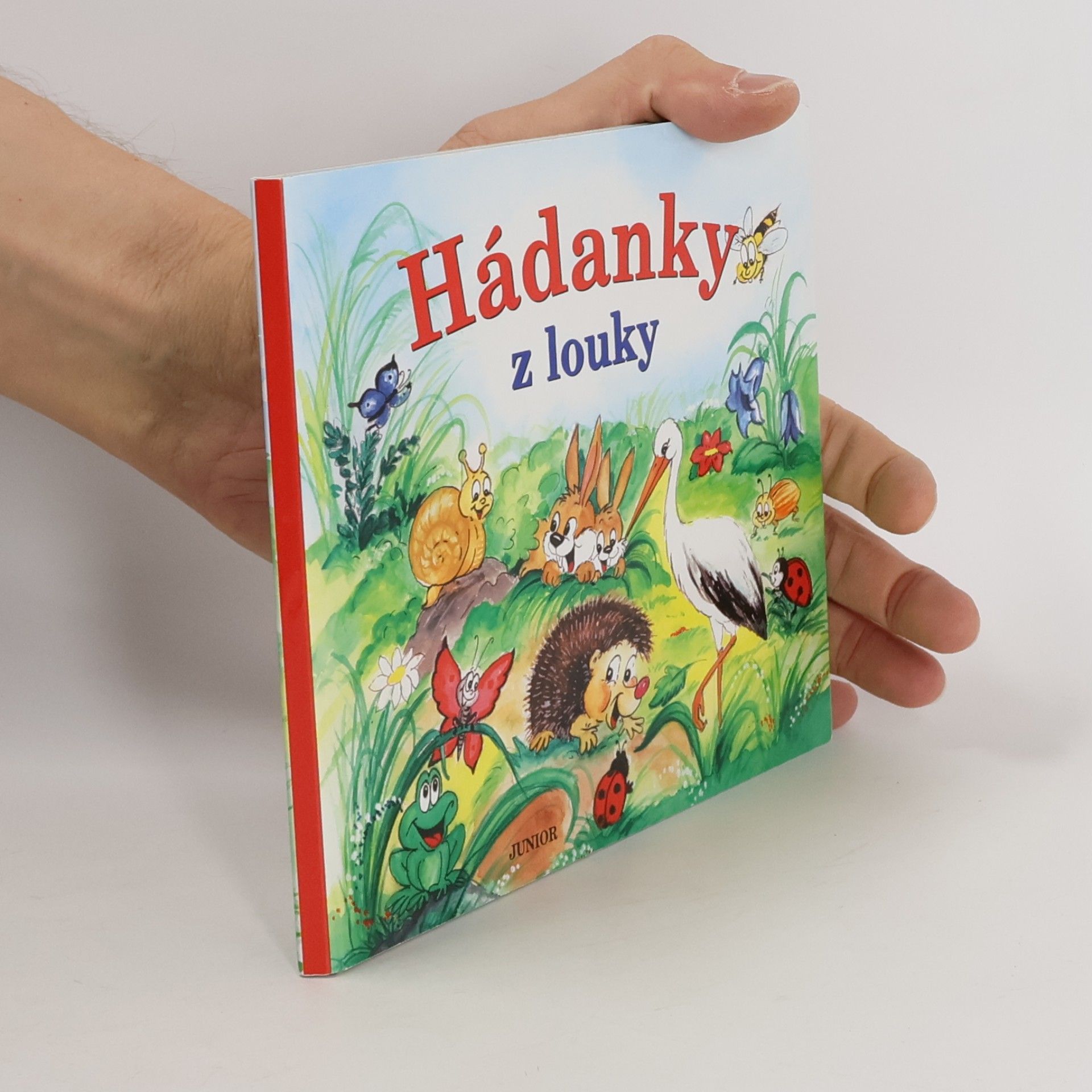 Zuzana Pospíšilová Hádanky z louky