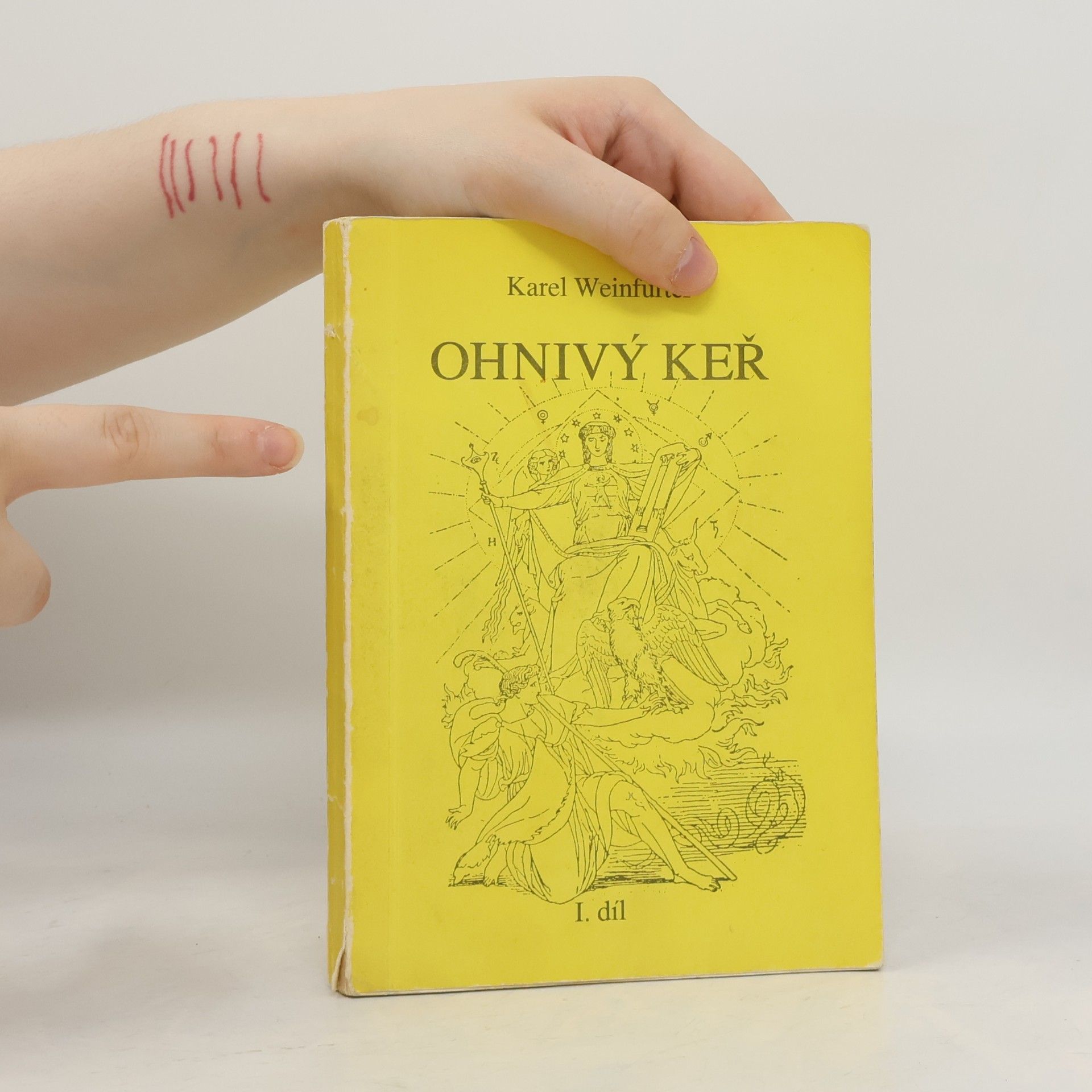 Karel Weinfurter Ohnivý keř. Odhalená cesta mystická. 1. díl
