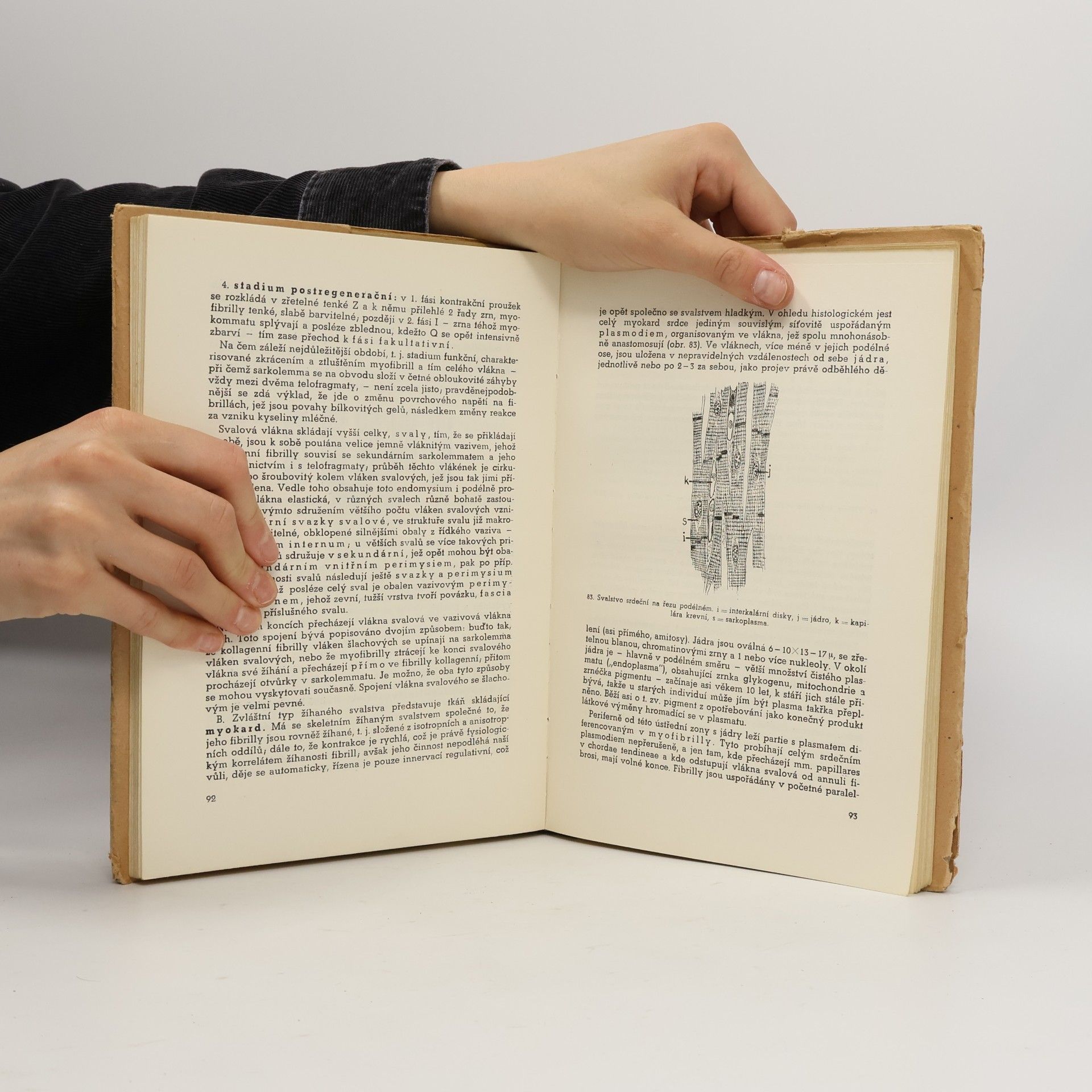 Zdeněk Frankenberger Stručná učebnice histologie