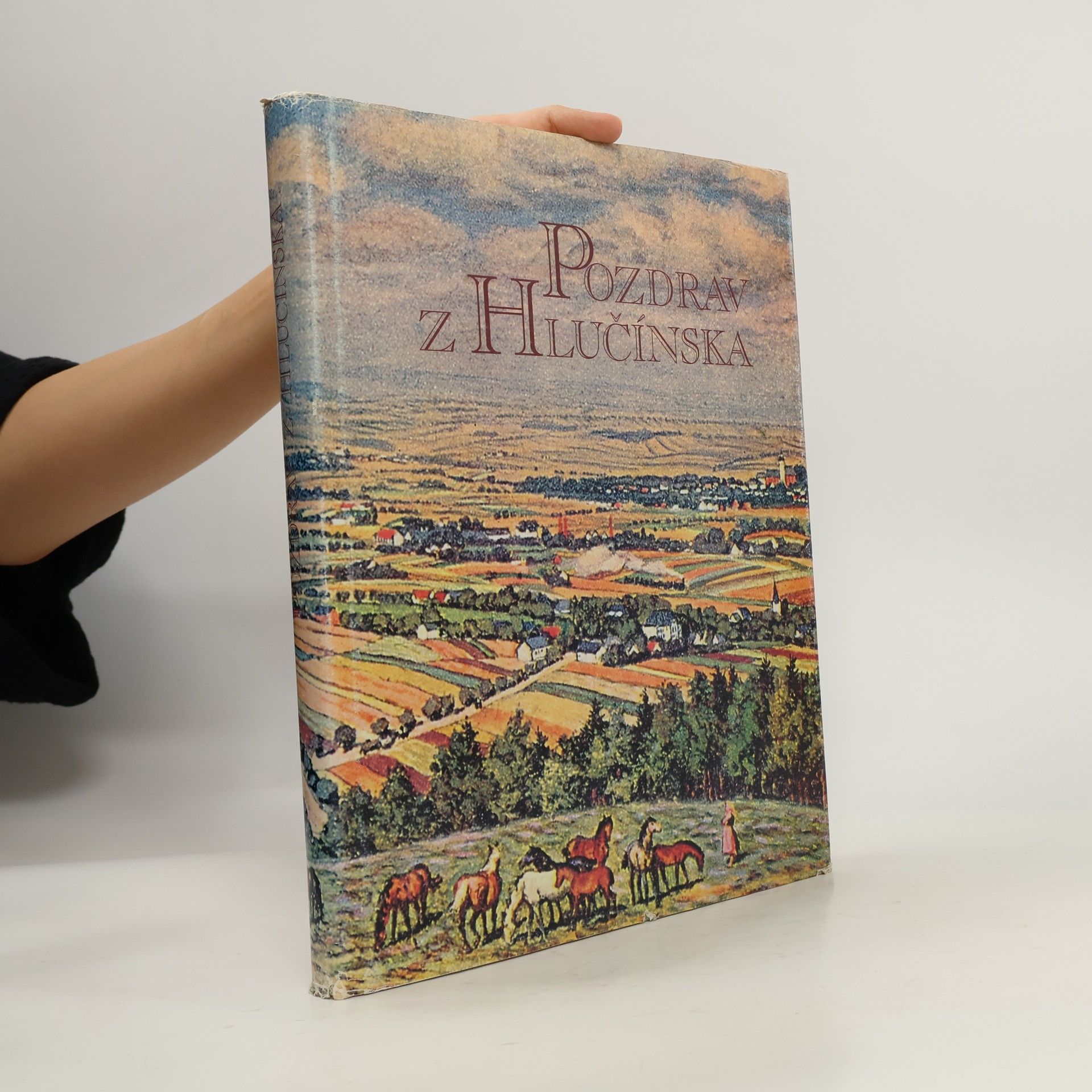 Liana Brabcová Pozdrav z Hlučínska: pohlednice a historie
