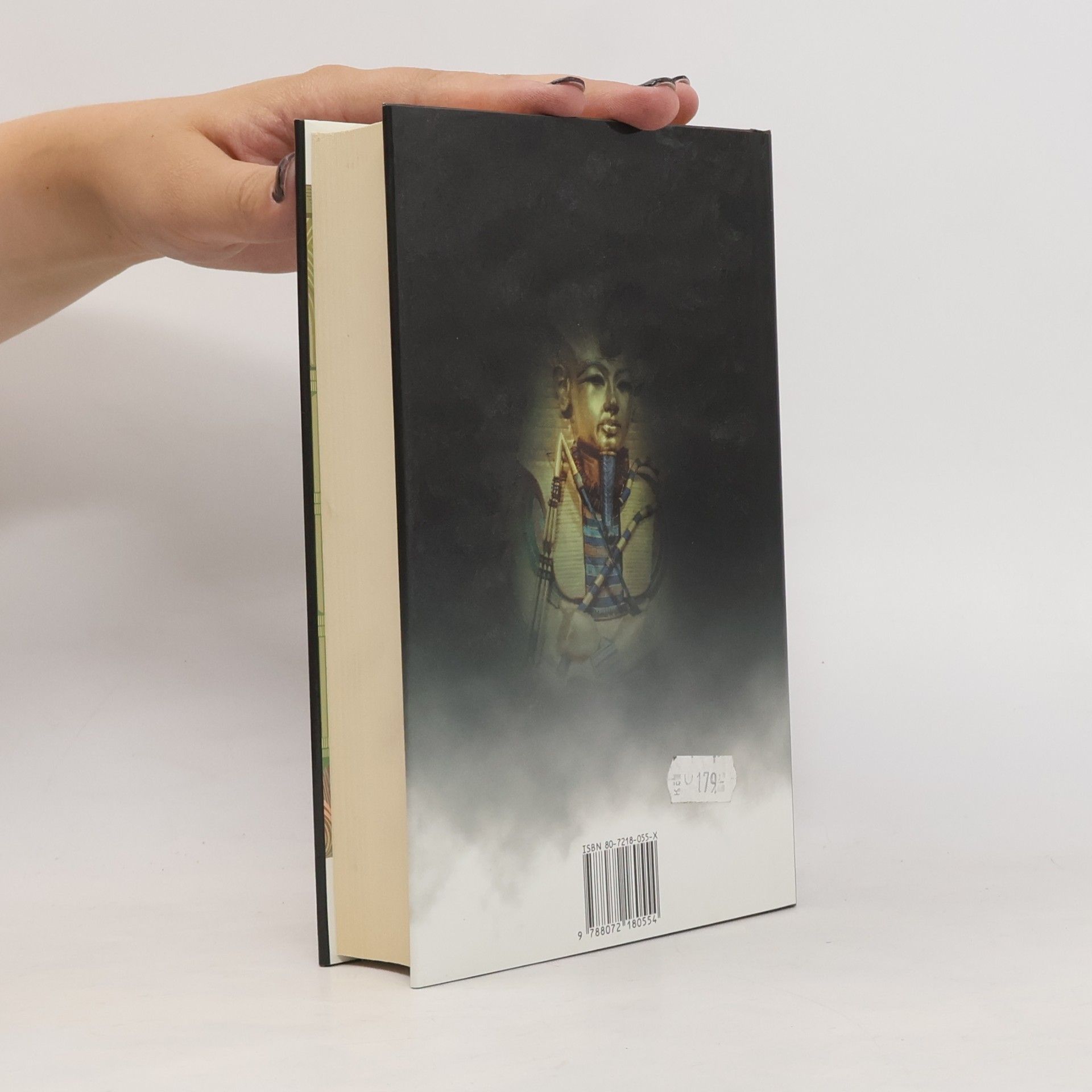 Wilbur Smith Řeka bohů II