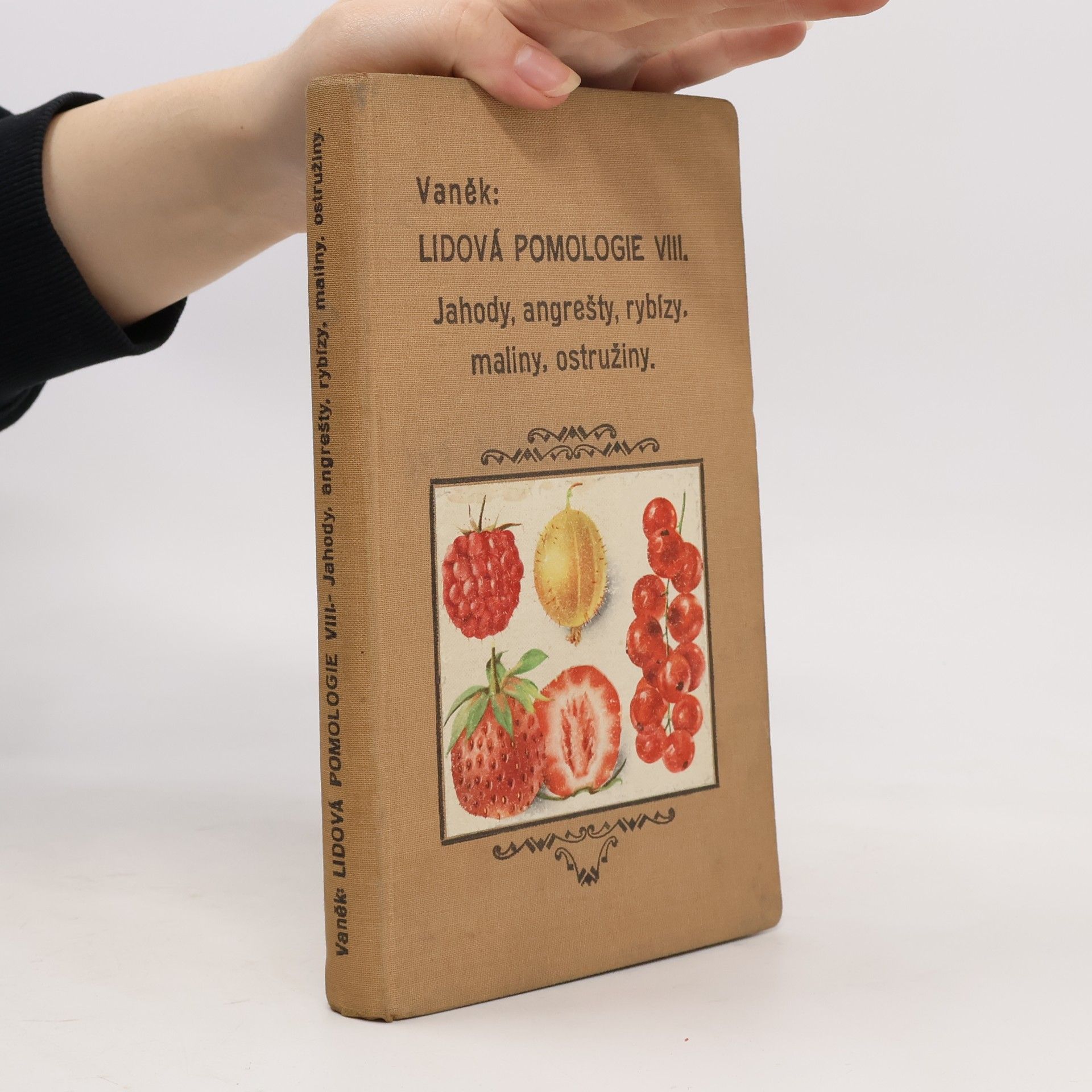 Lidová pomologie VIII.