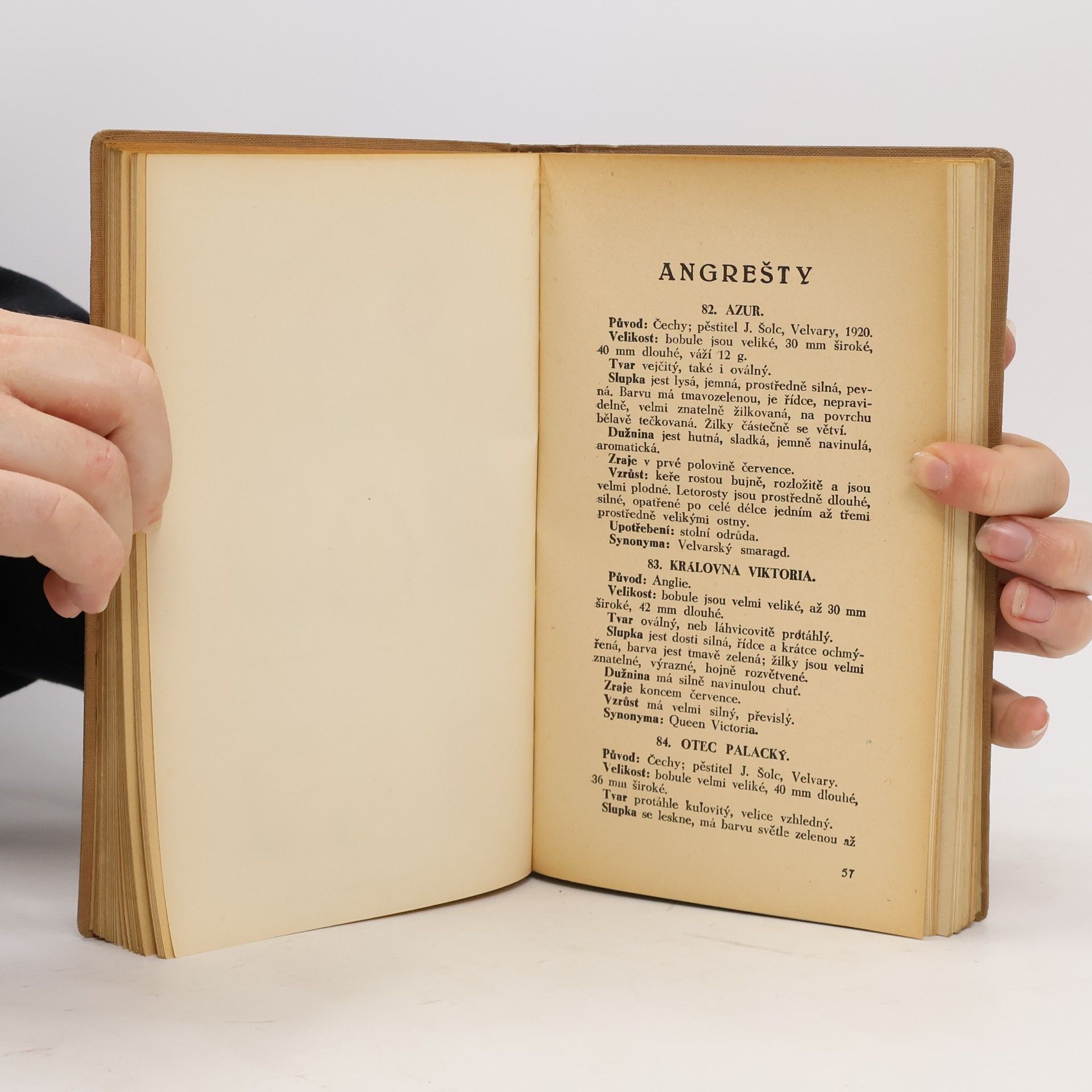 Josef Vaněk Lidová pomologie VIII.