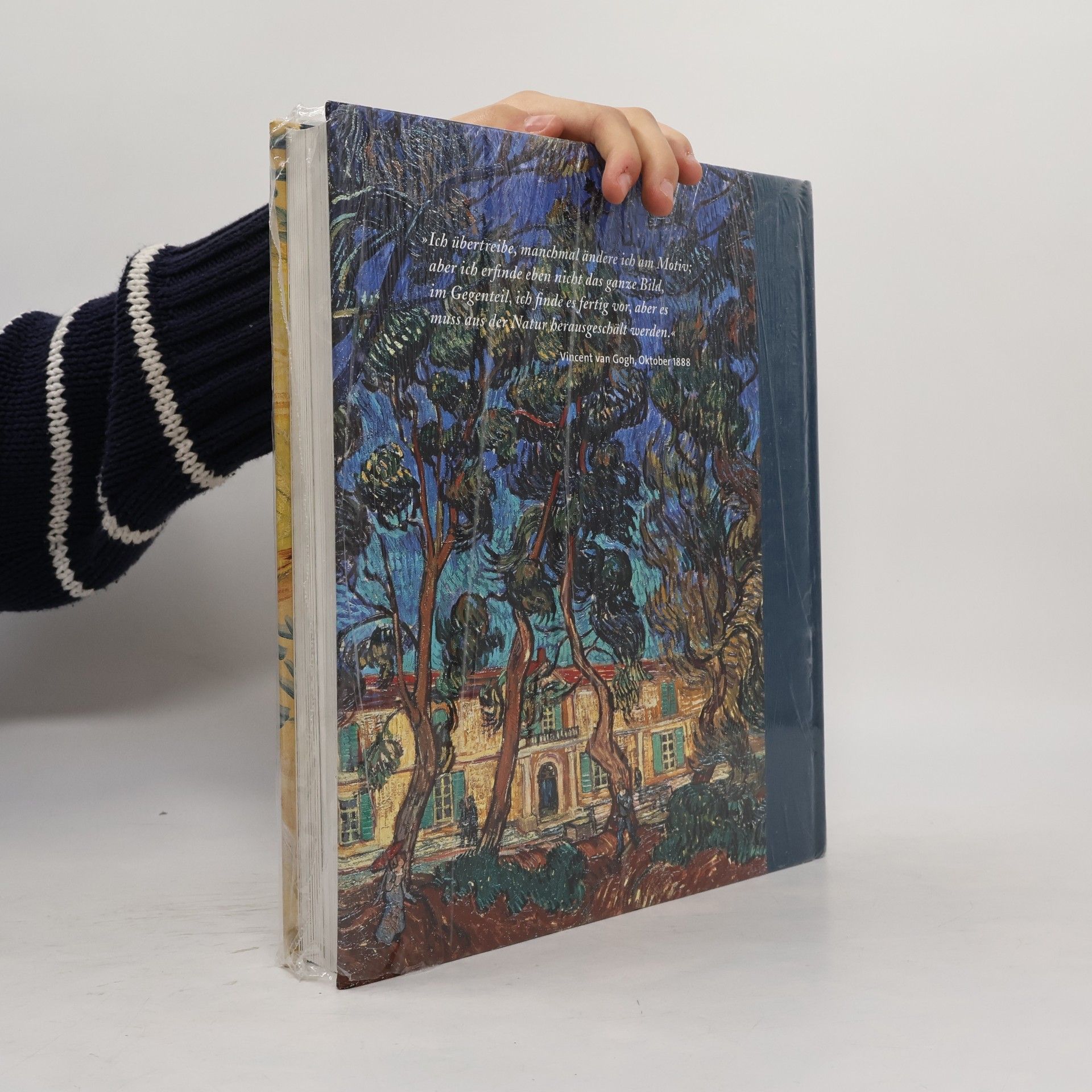 Heinz Wildauer Vincent van Gogh