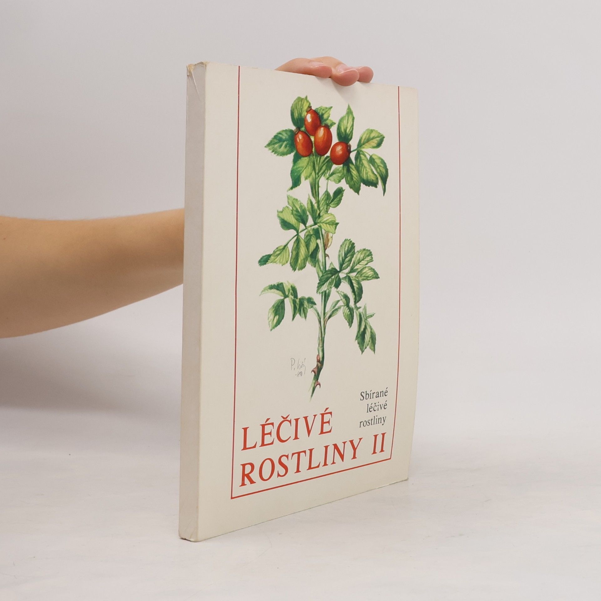 Léčivé rostliny II