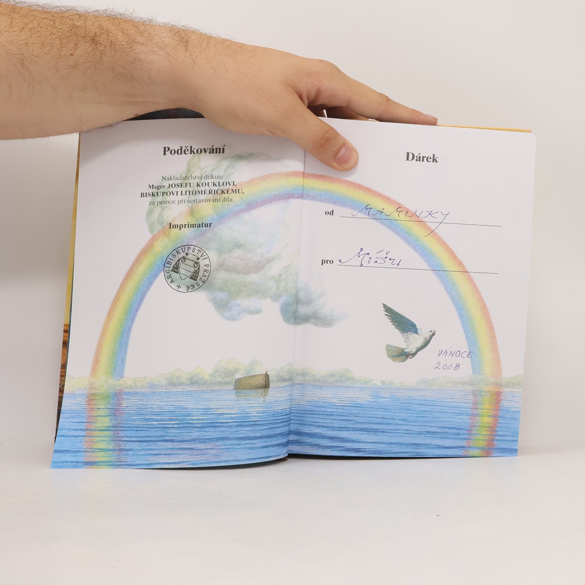 Kolektiv autorů Dětská ilustrovaná bible