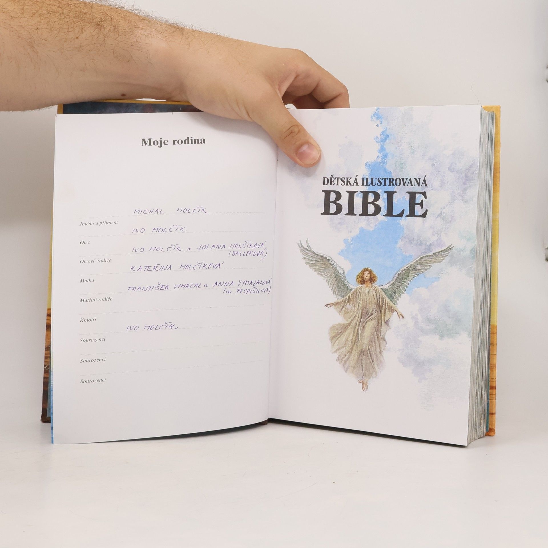 Kolektiv autorů Dětská ilustrovaná bible