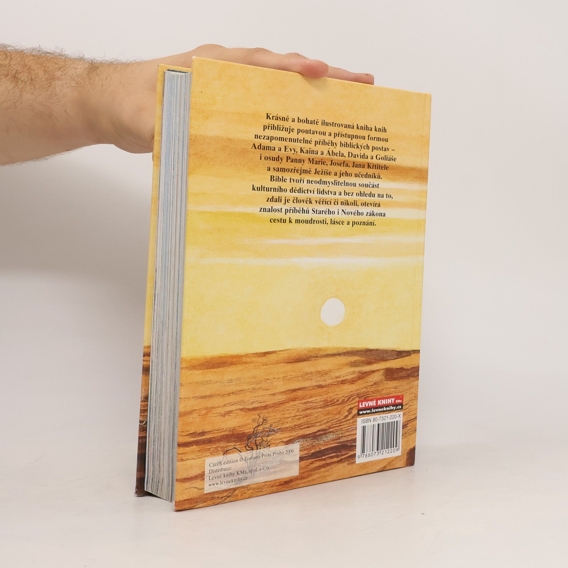 Kolektiv autorů Dětská ilustrovaná bible