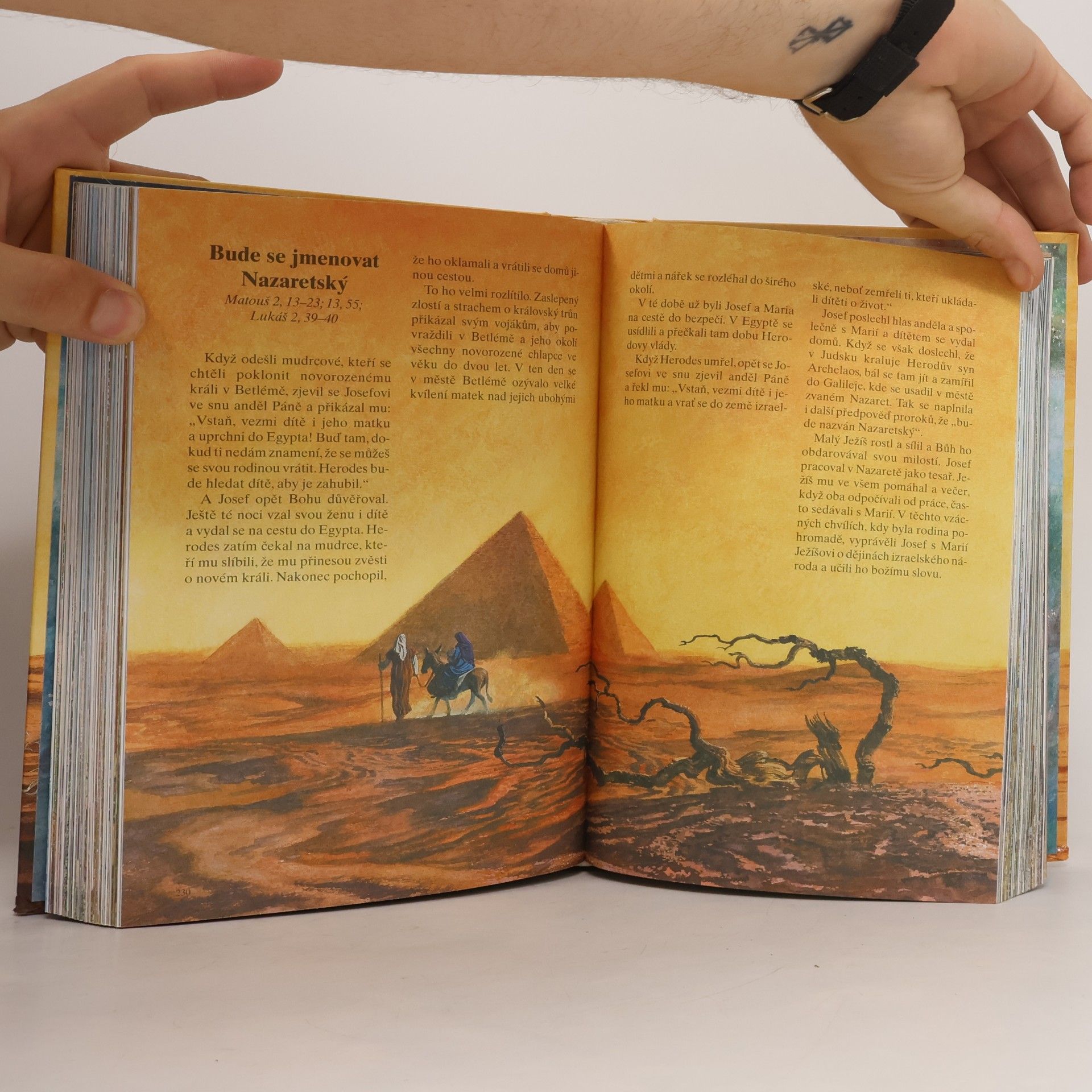 Kolektiv autorů Dětská ilustrovaná bible
