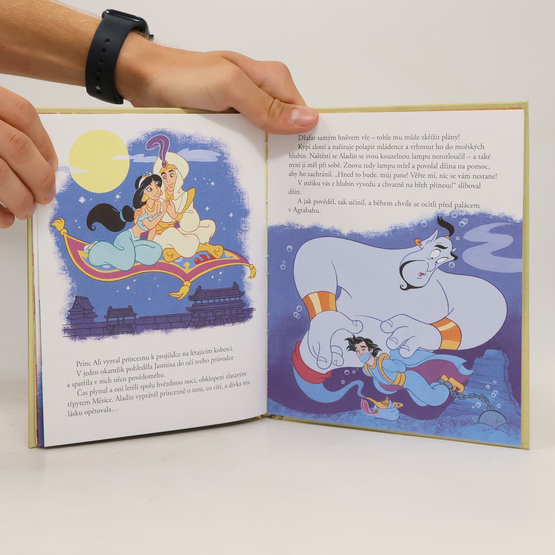 Autorenkollektiv Zlatá sbírka pohádek 6. Aladin