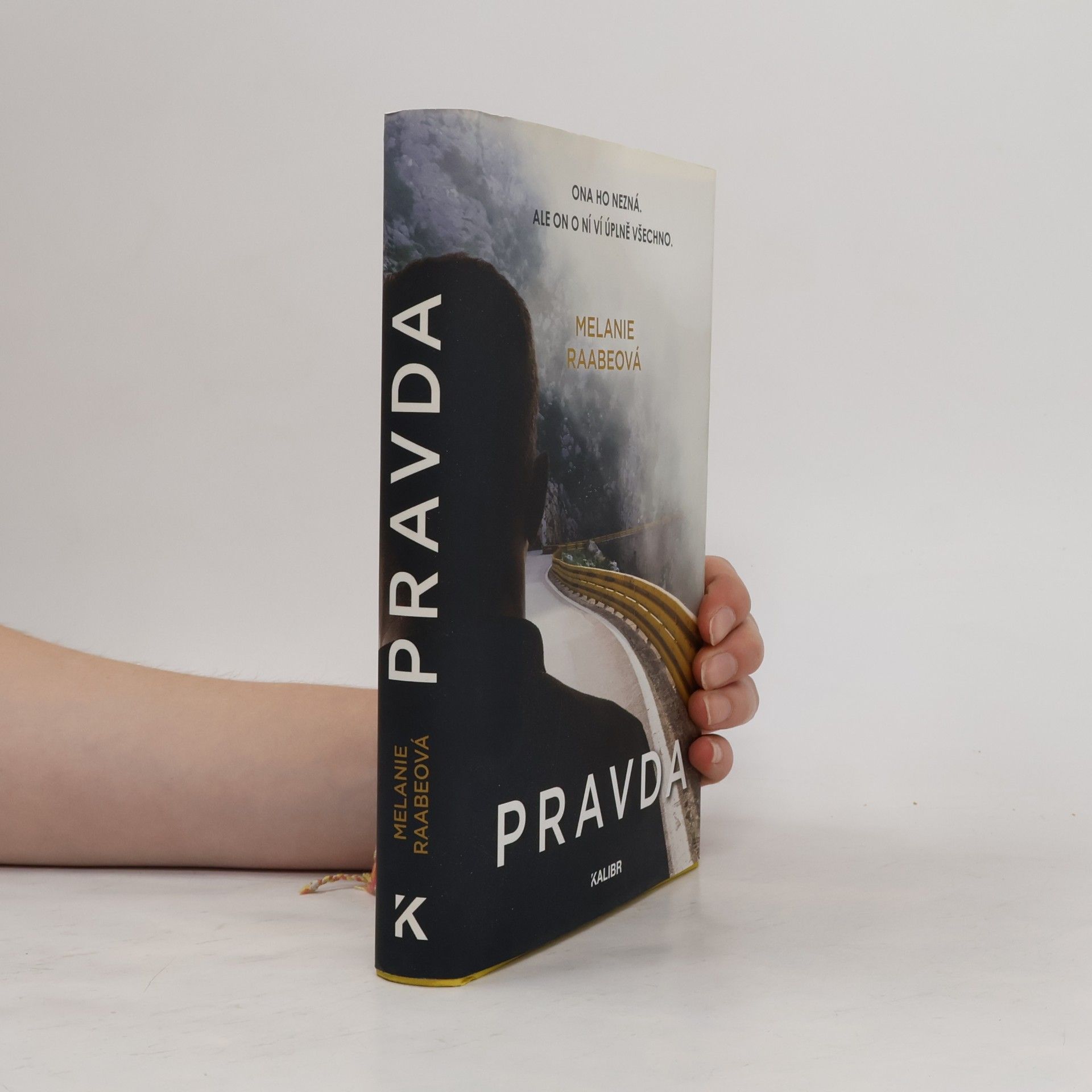 Melanie Raabe Pravda