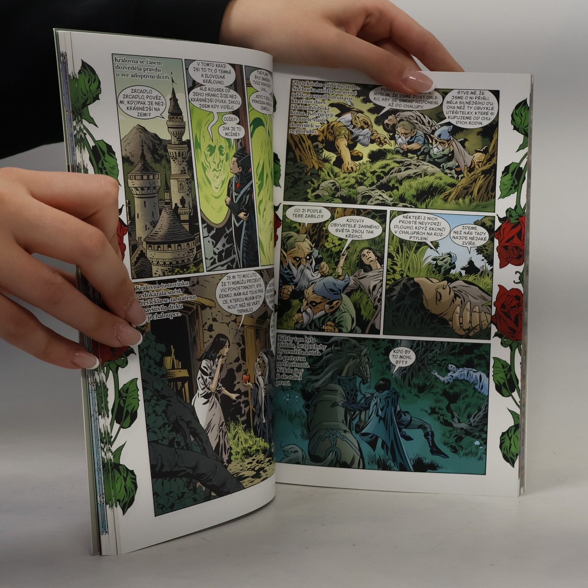Bill Willingham Mýty: Růženka