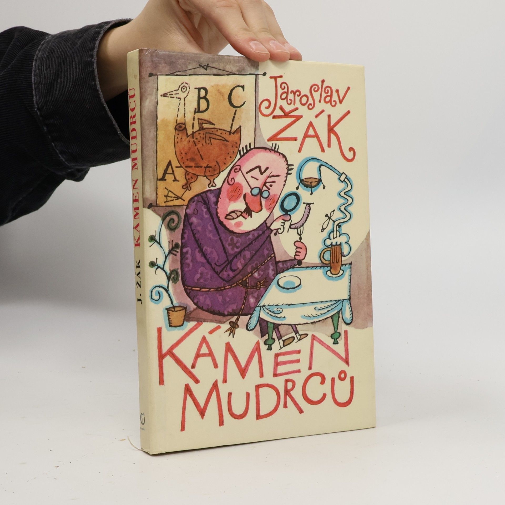 Jaroslav Žák Kámen mudrců