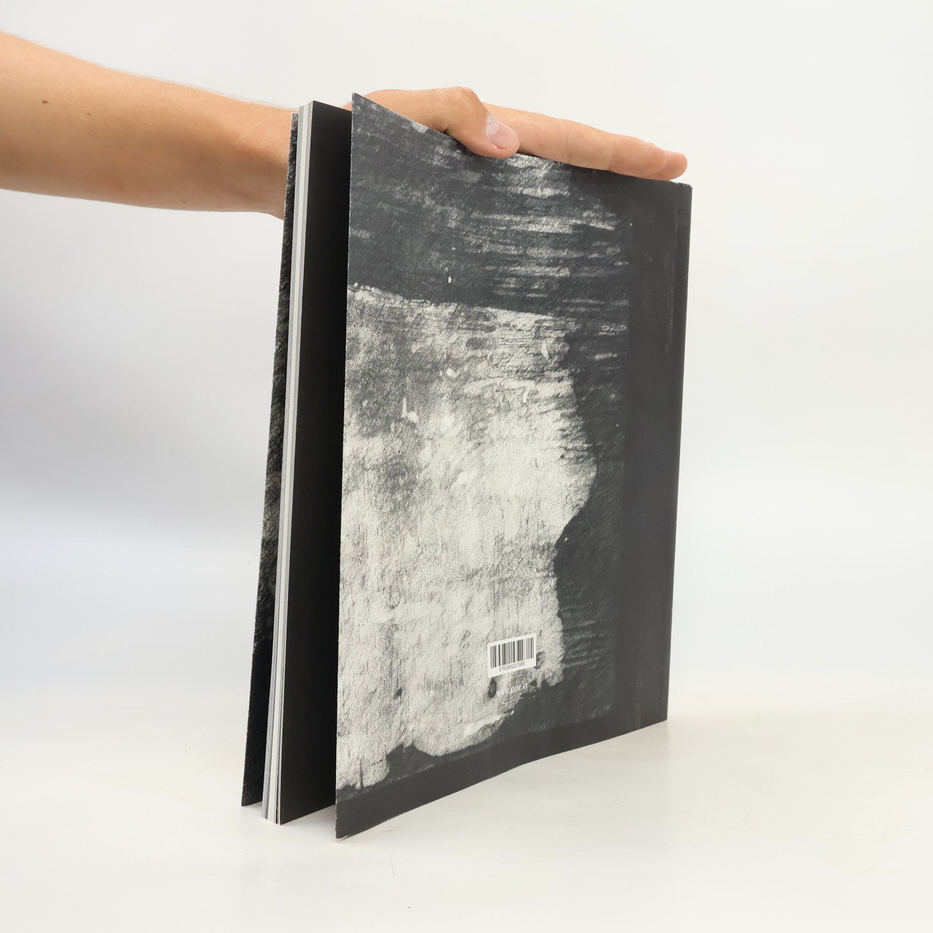 Sabine Haag Klaus Mosettig. The David Plates