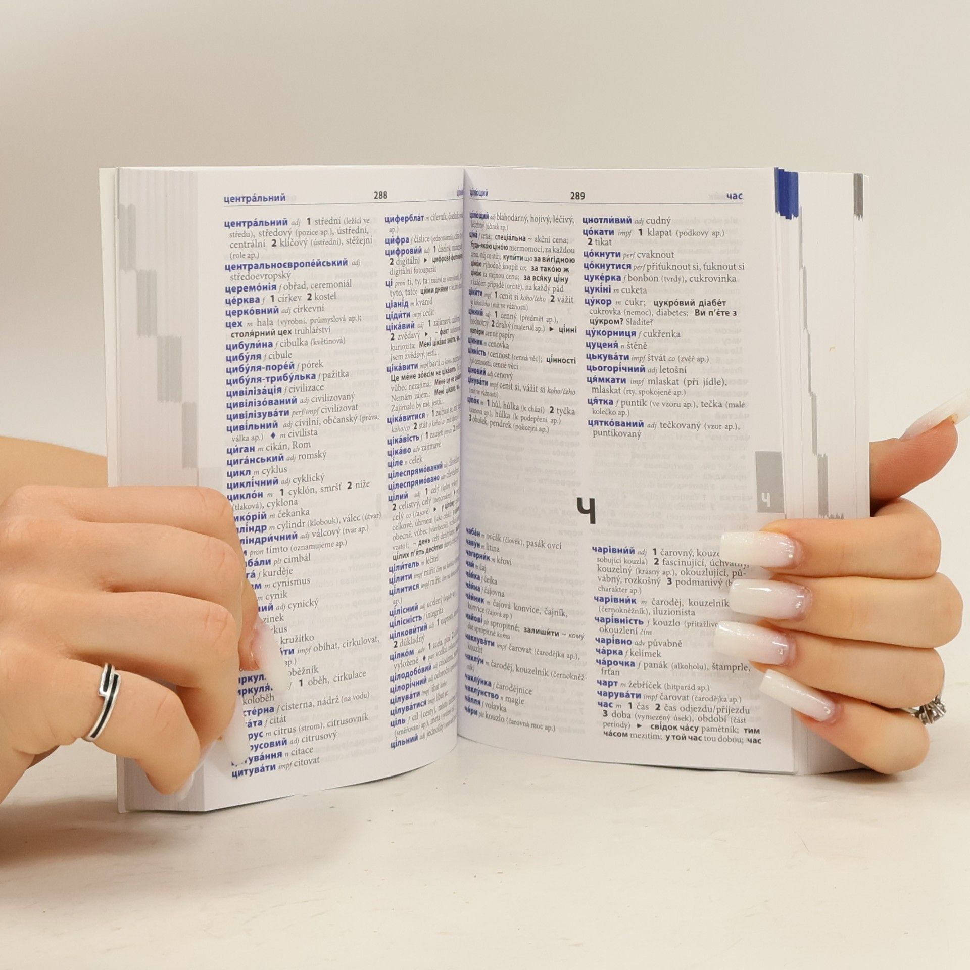 Autorenkollektiv Šikovný slovník ukrajinsko-český, česko-ukrajinský