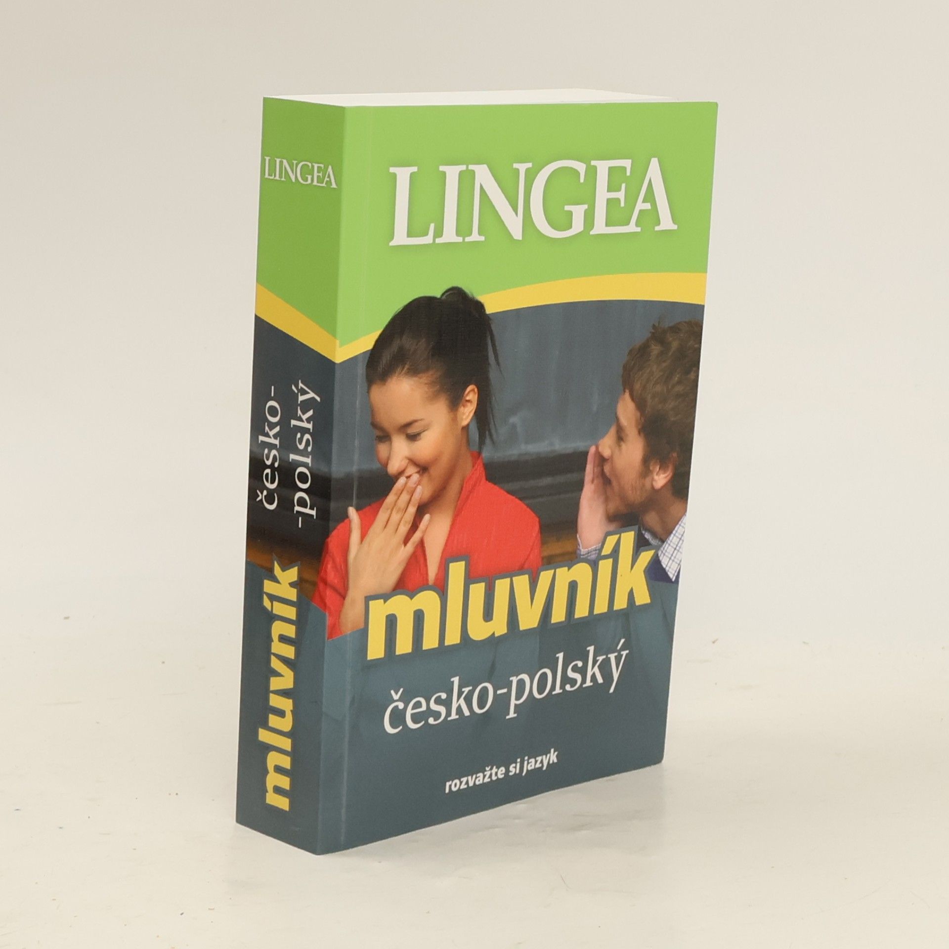 Autorenkollektiv Mluvník česko-polský