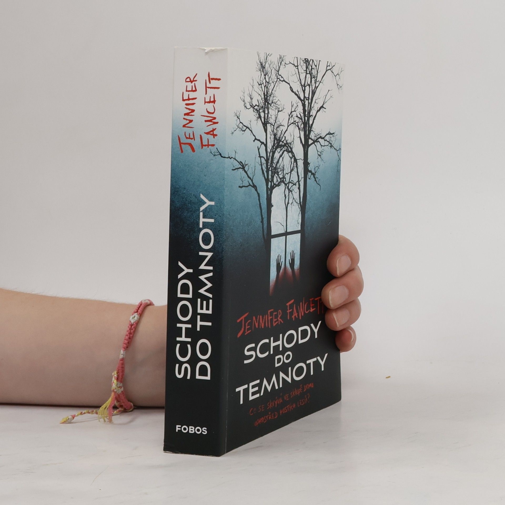 Jennifer Fawcett Schody do temnoty