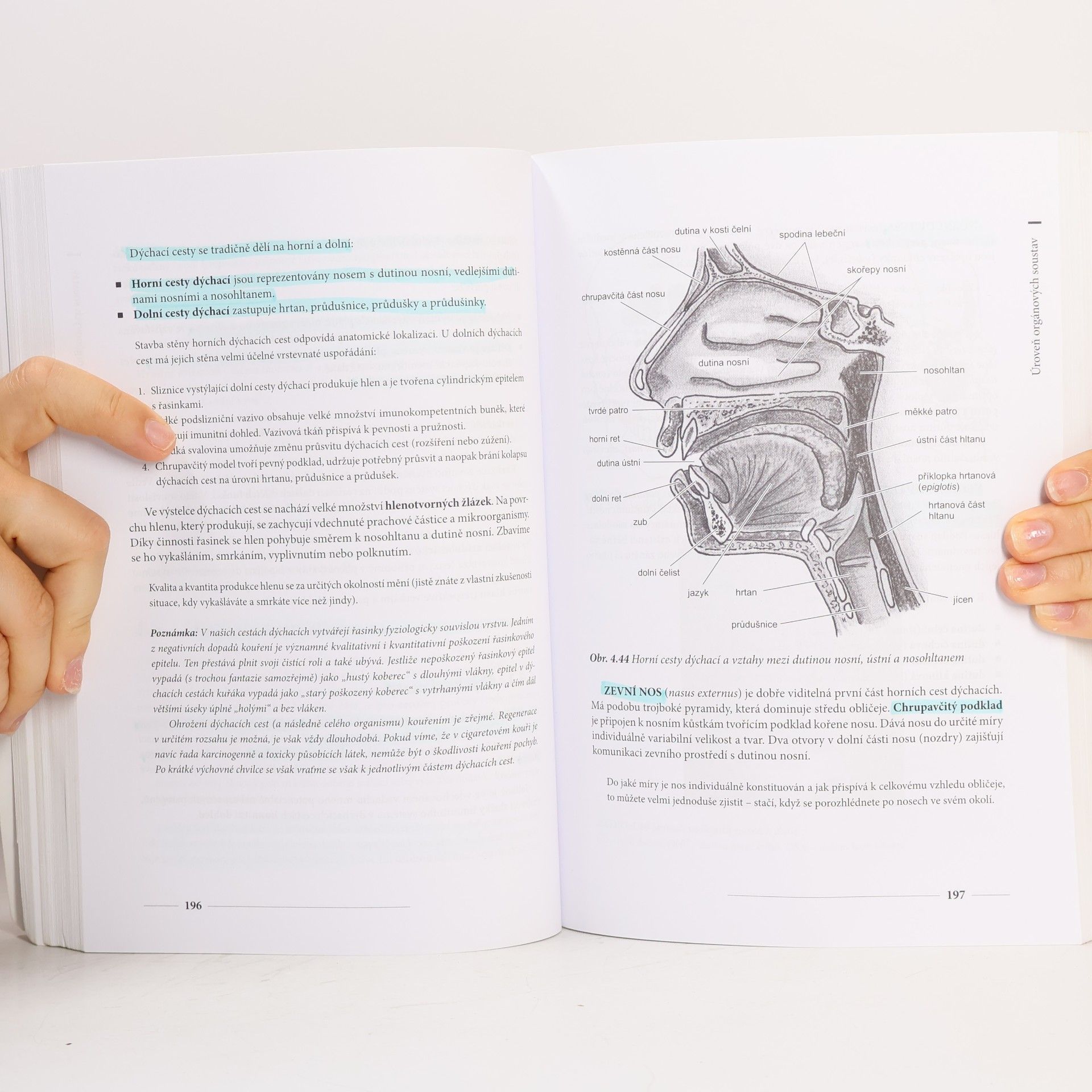 Miroslav Orel Anatomie a fyziologie lidského těla. Pro humanitní obory