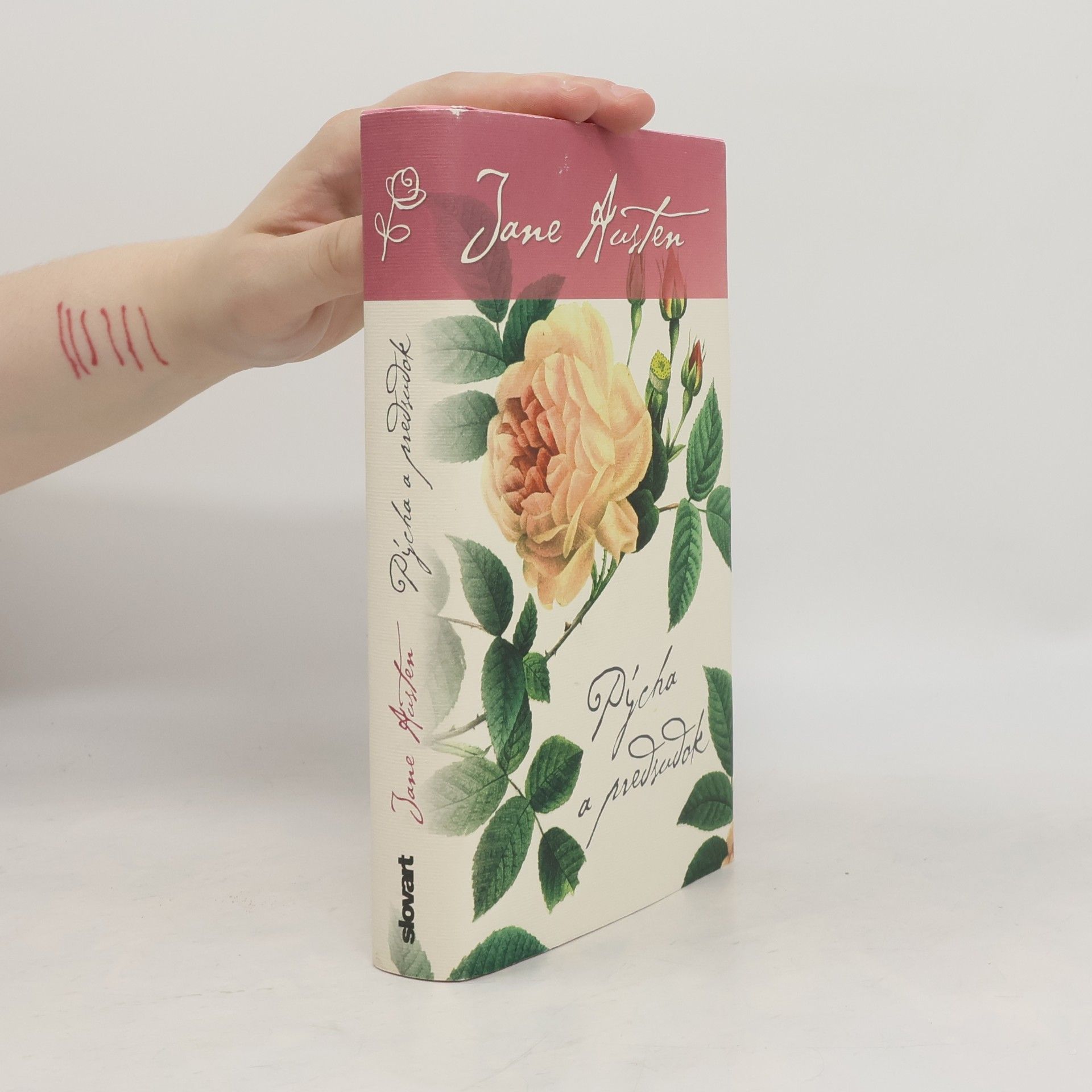 Jane Austen Pýcha a predsudok