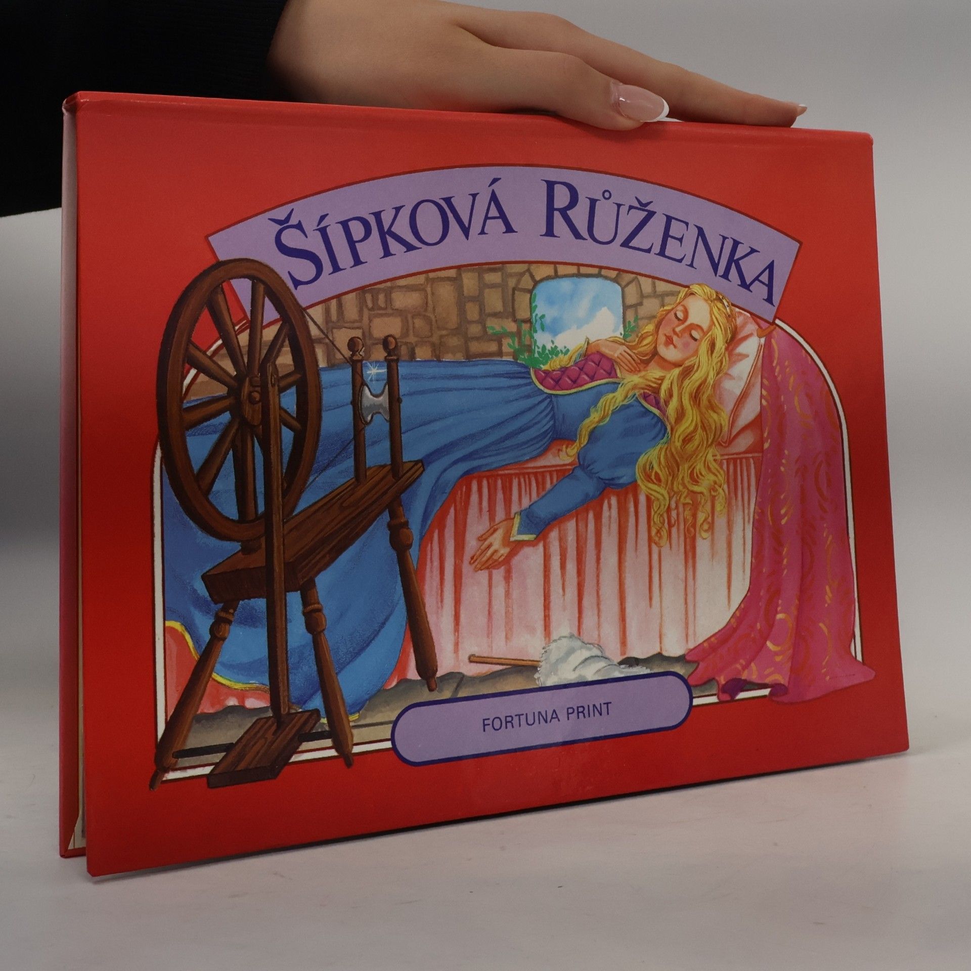 Kolektiv autorů Šípková Růženka