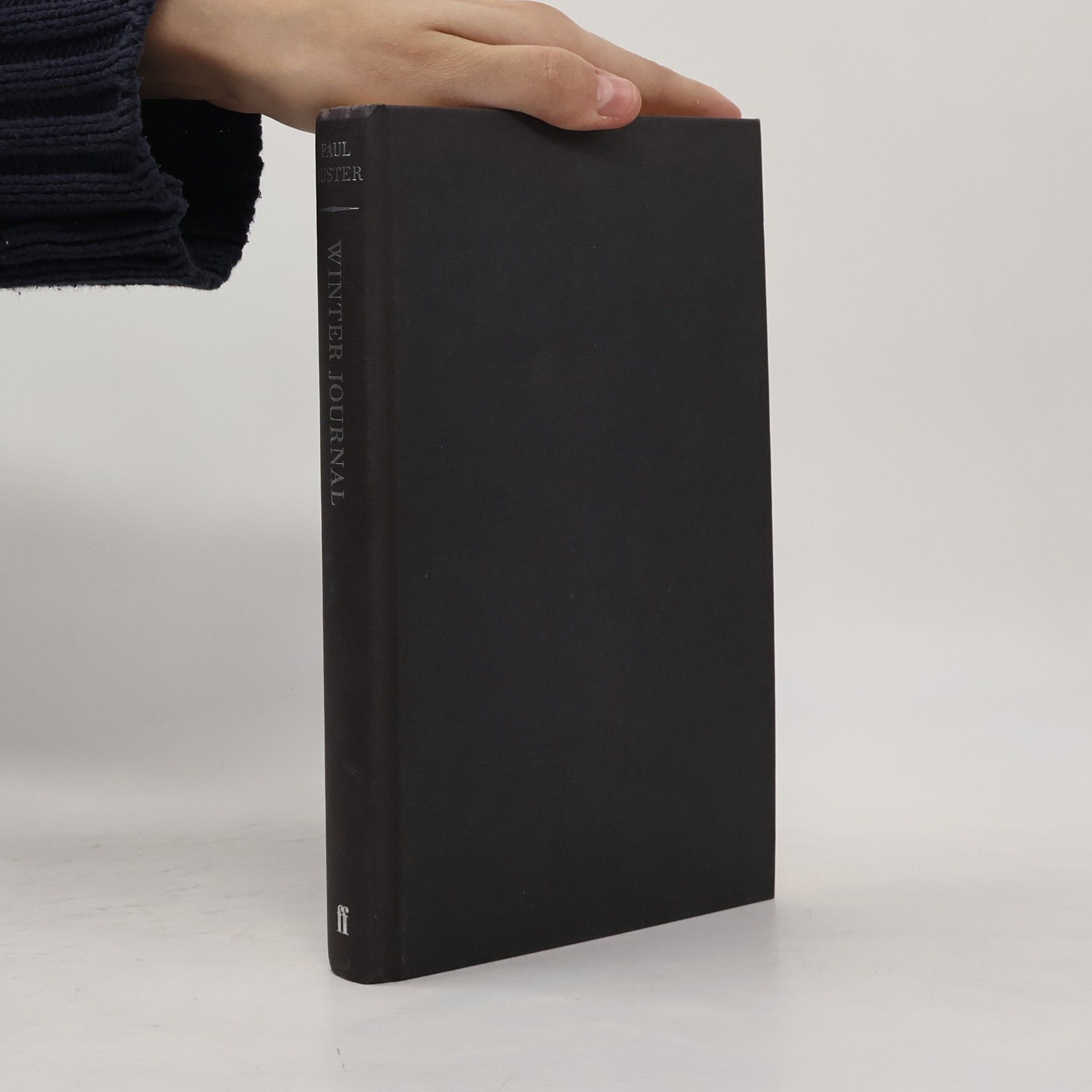 Paul Auster Winter Journal
