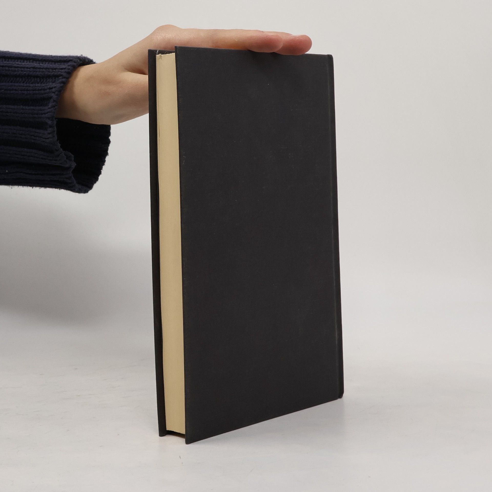 Paul Auster Winter Journal
