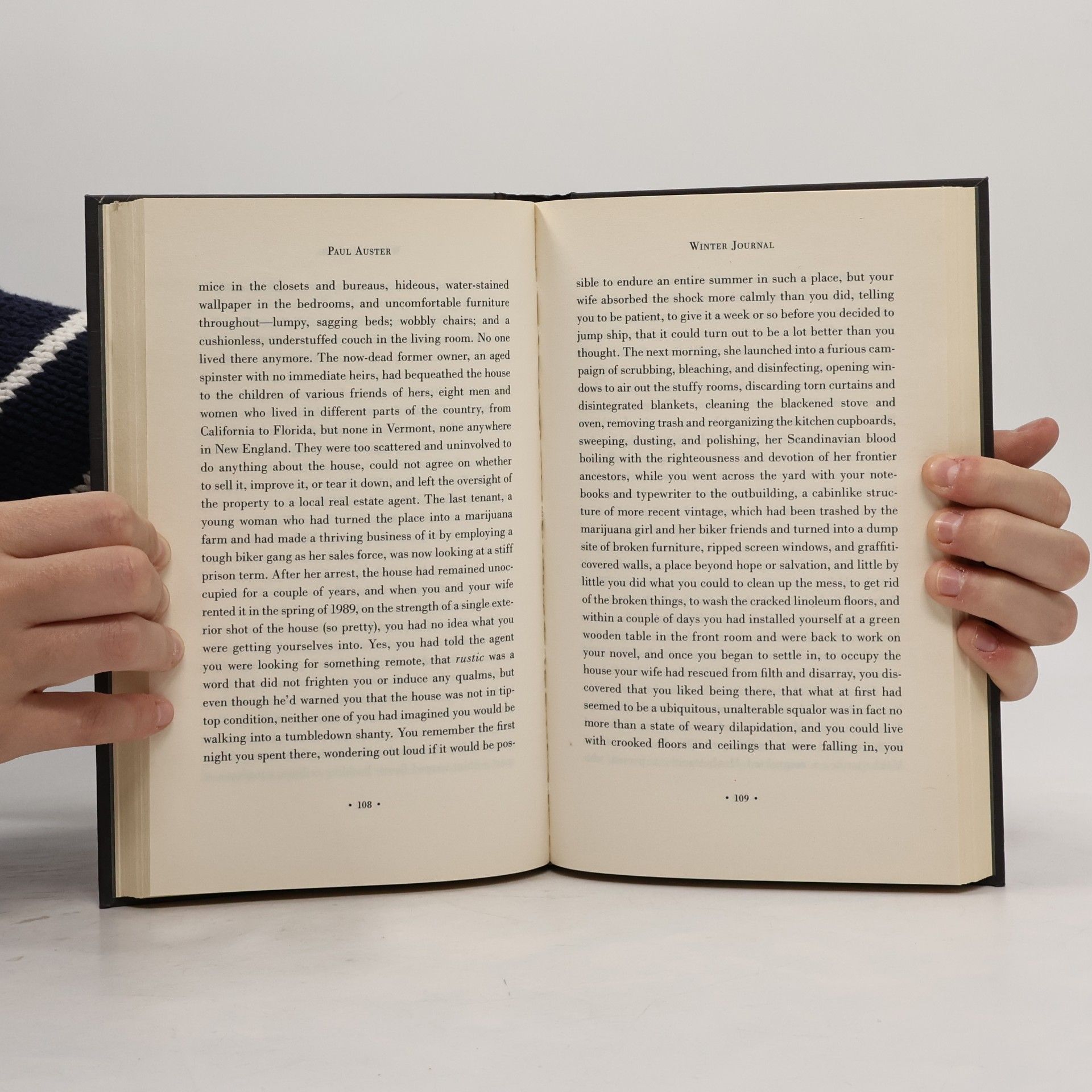 Paul Auster Winter Journal