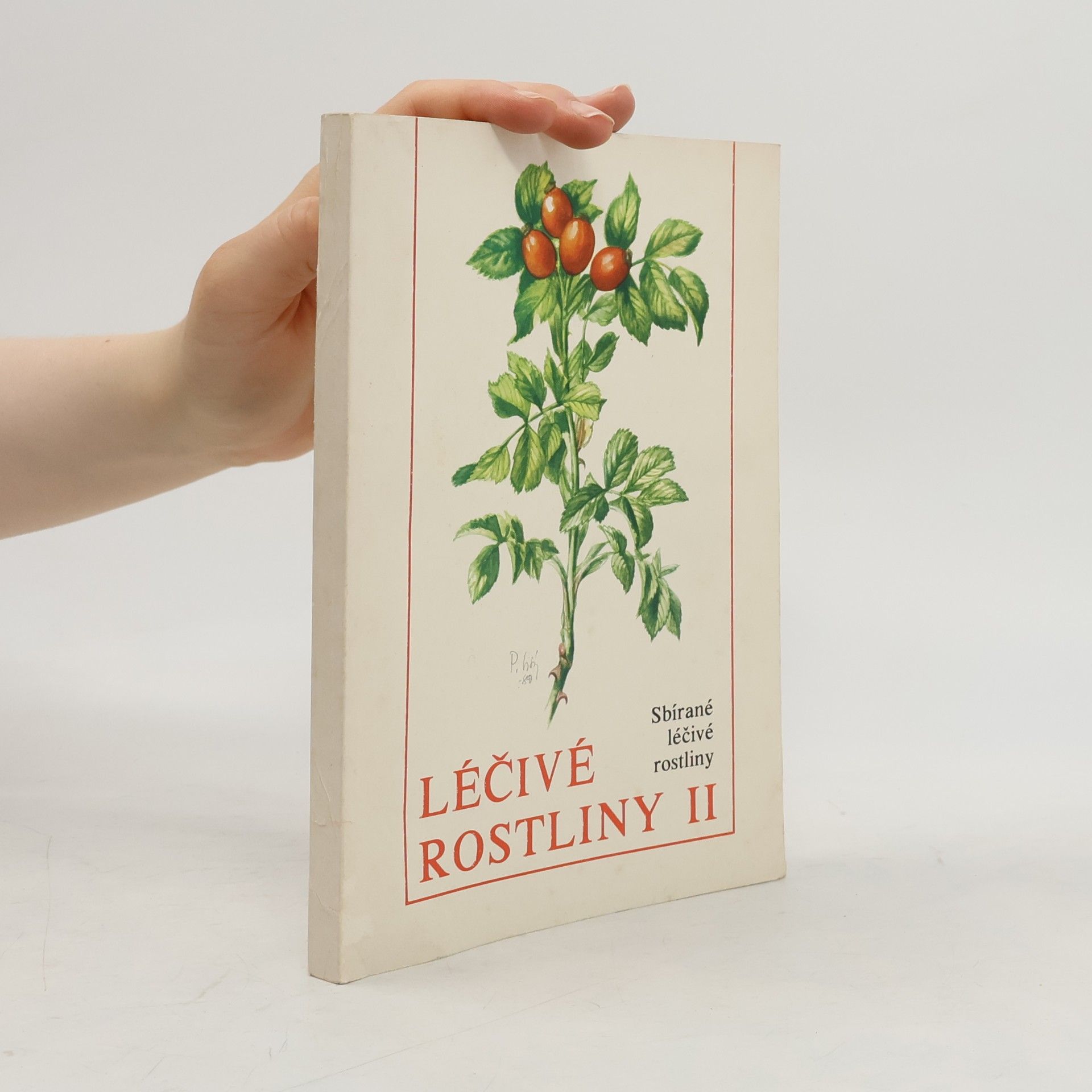 Štěpán Neubauer Léčivé rostliny II