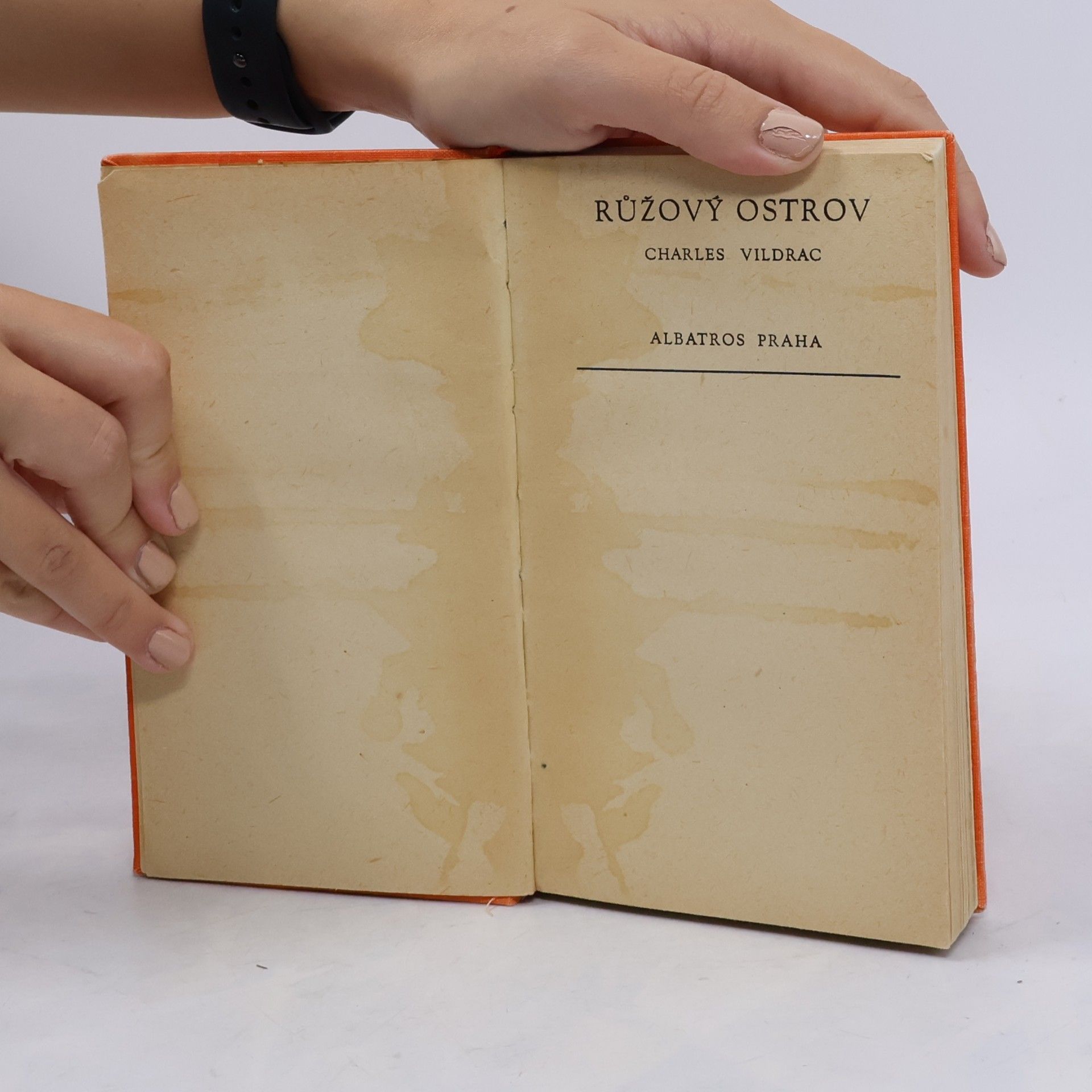 Charles Vildrac Růžový ostrov. Osada Růžového ostrova