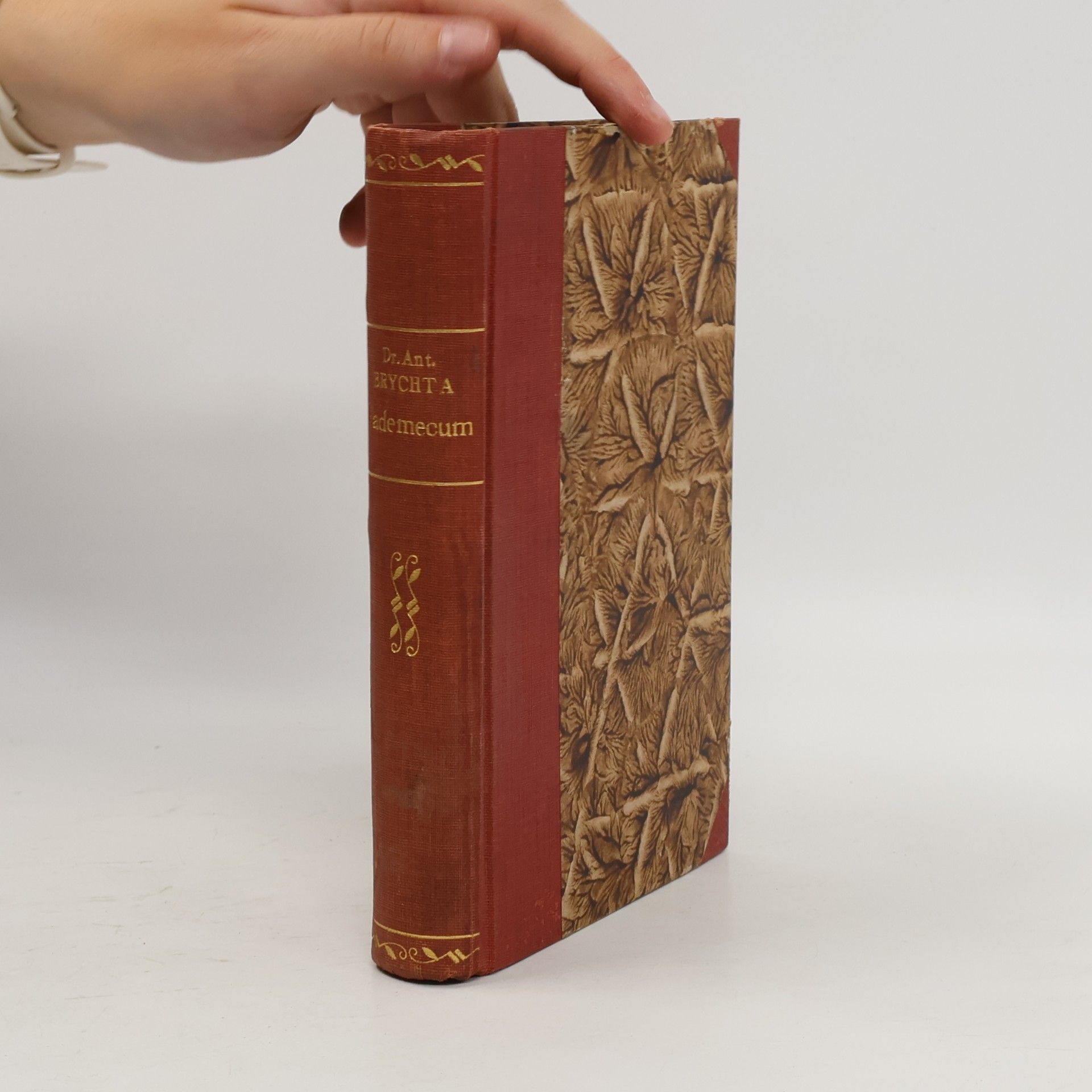Antonín Brychta Vademecum seu Brevis Synopsis Materiarum et Casuum in Cura Animarum Frequentiorum