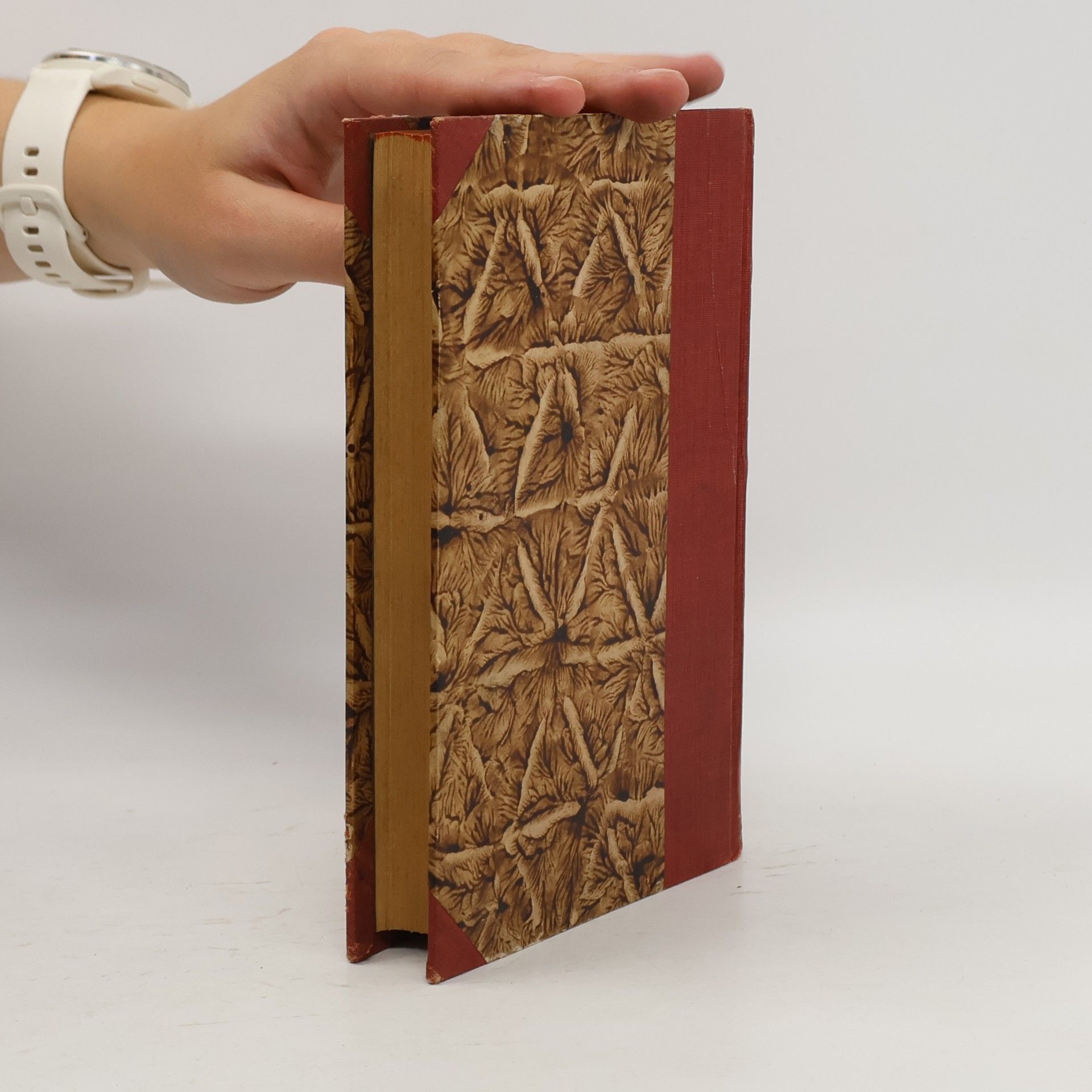 Antonín Brychta Vademecum seu Brevis Synopsis Materiarum et Casuum in Cura Animarum Frequentiorum
