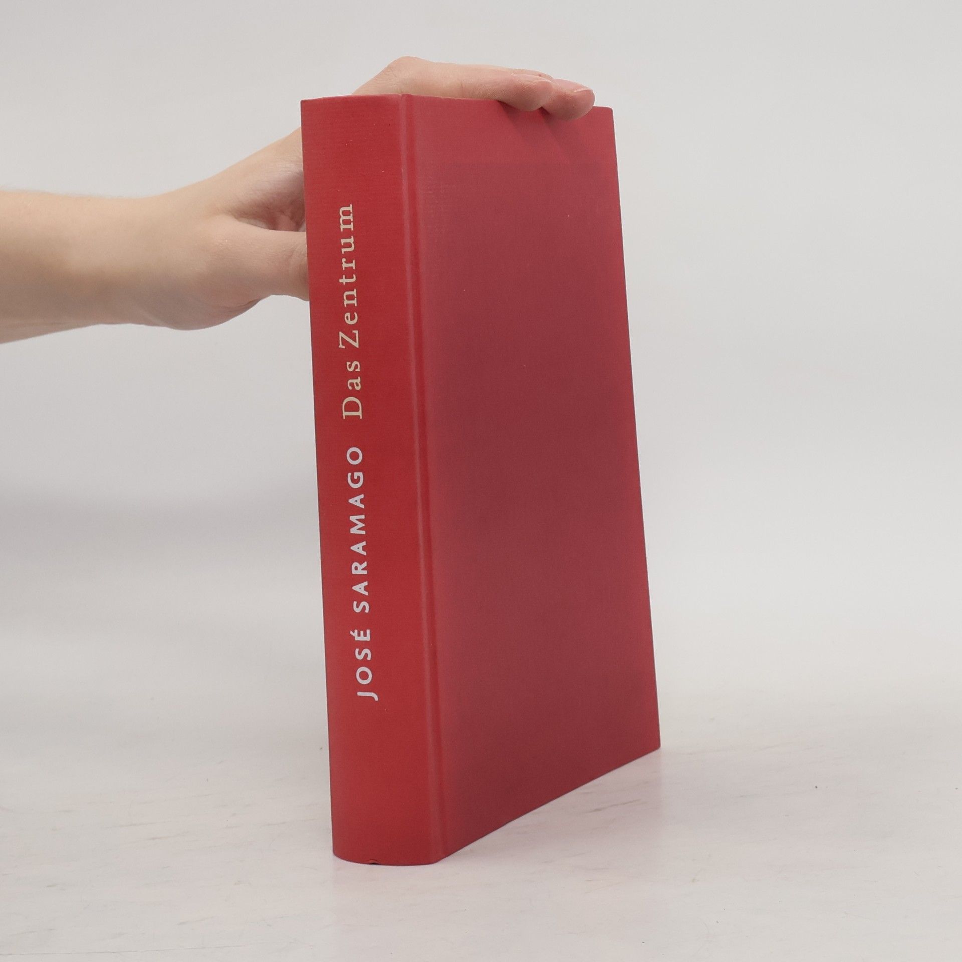José Saramago Das Zentrum