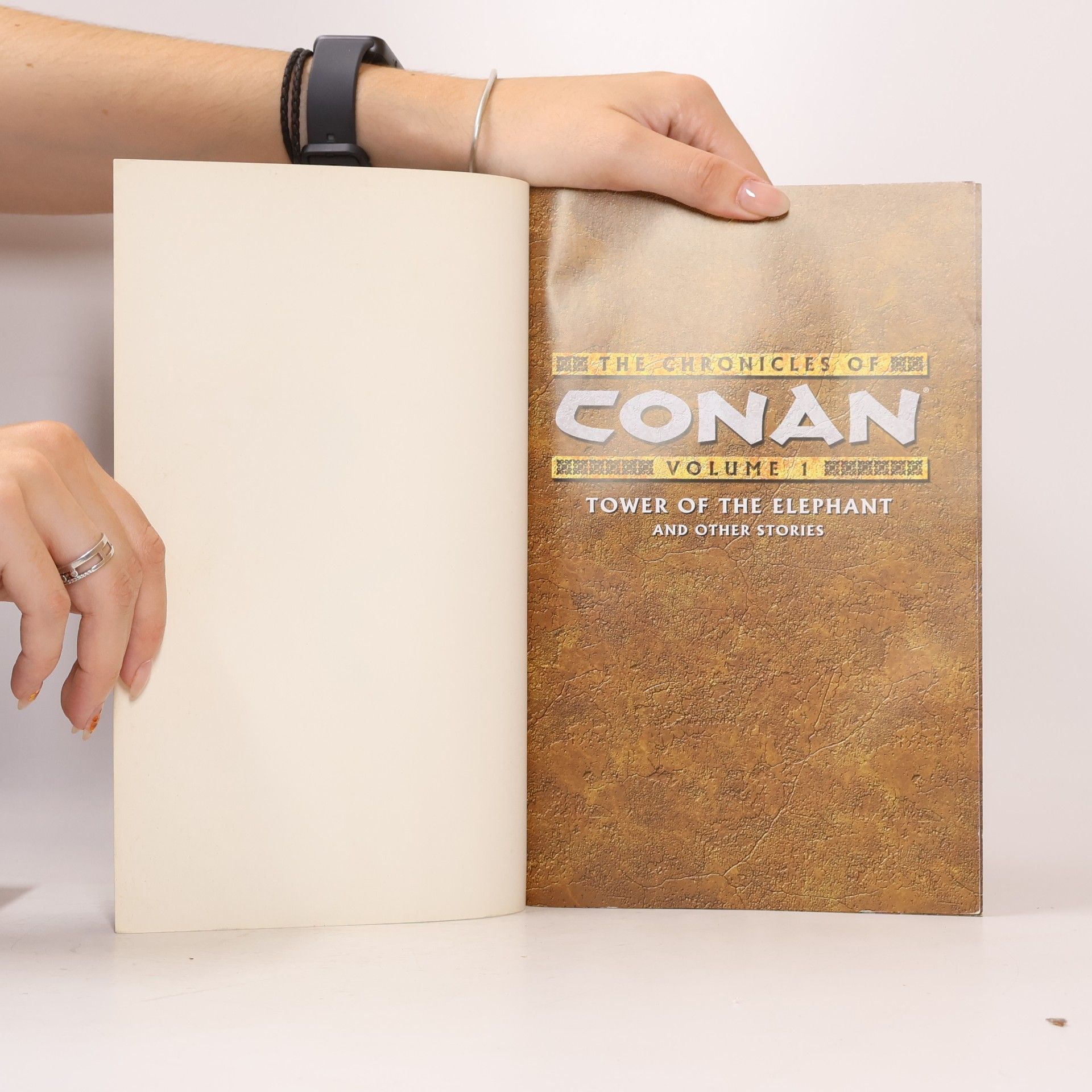 Roy Thomas The Chronicles of Conan, Volume 1