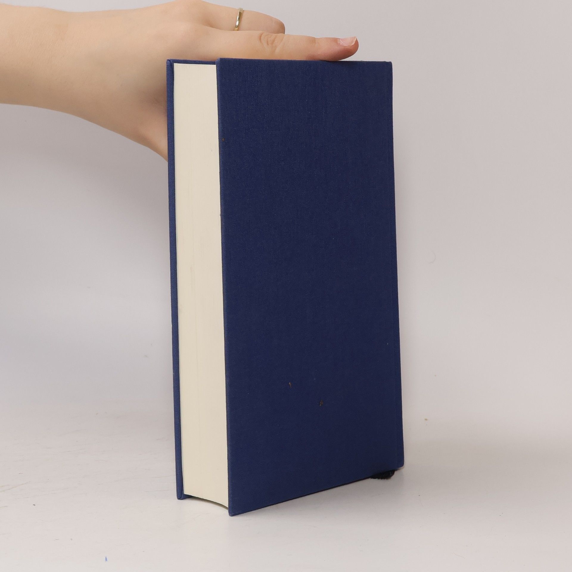 Bruce James Zu den Quellen des Blauen Nils